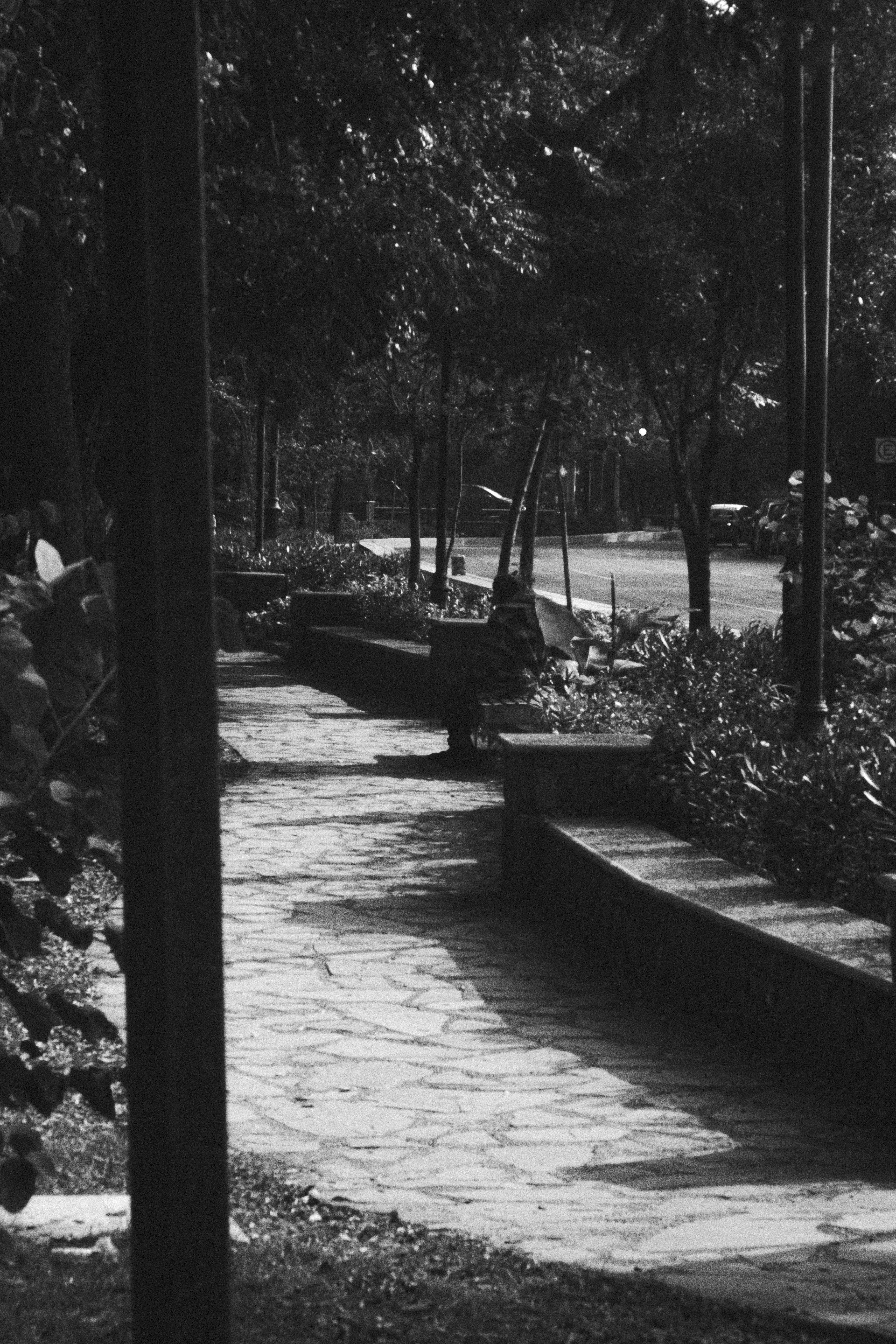 Photo by cejacityframes