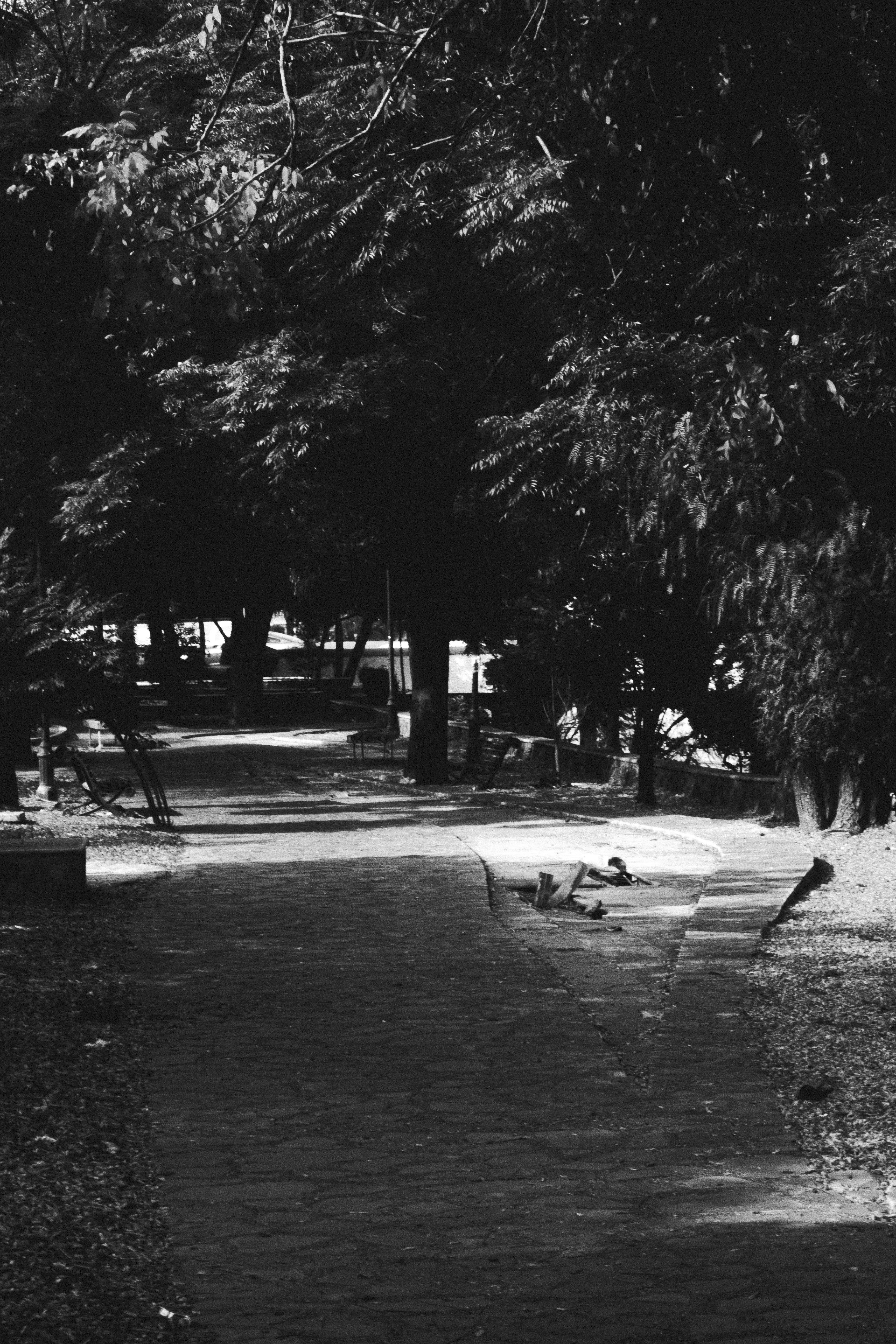 Photo by cejacityframes