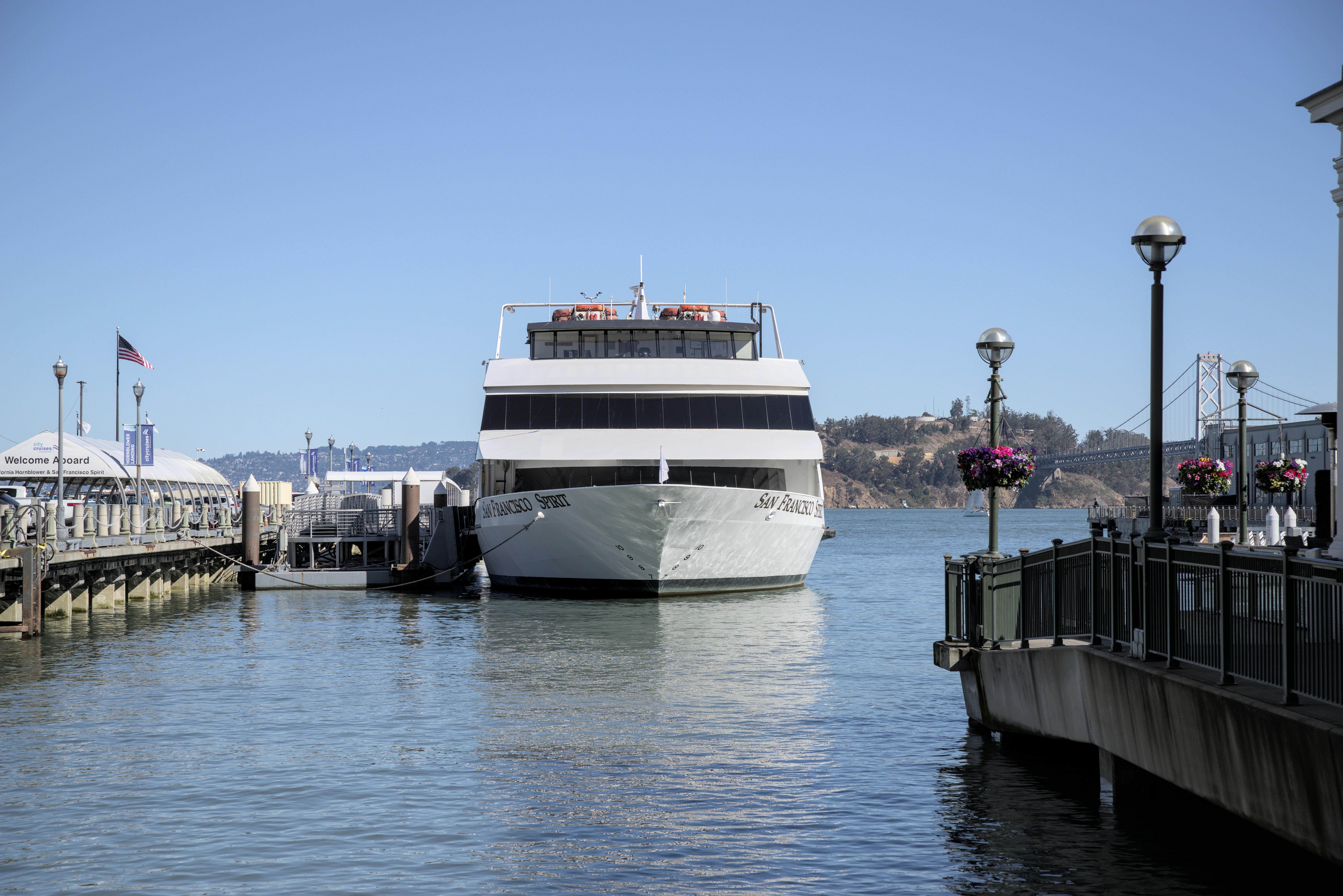 Photo by satishdharmavarapu