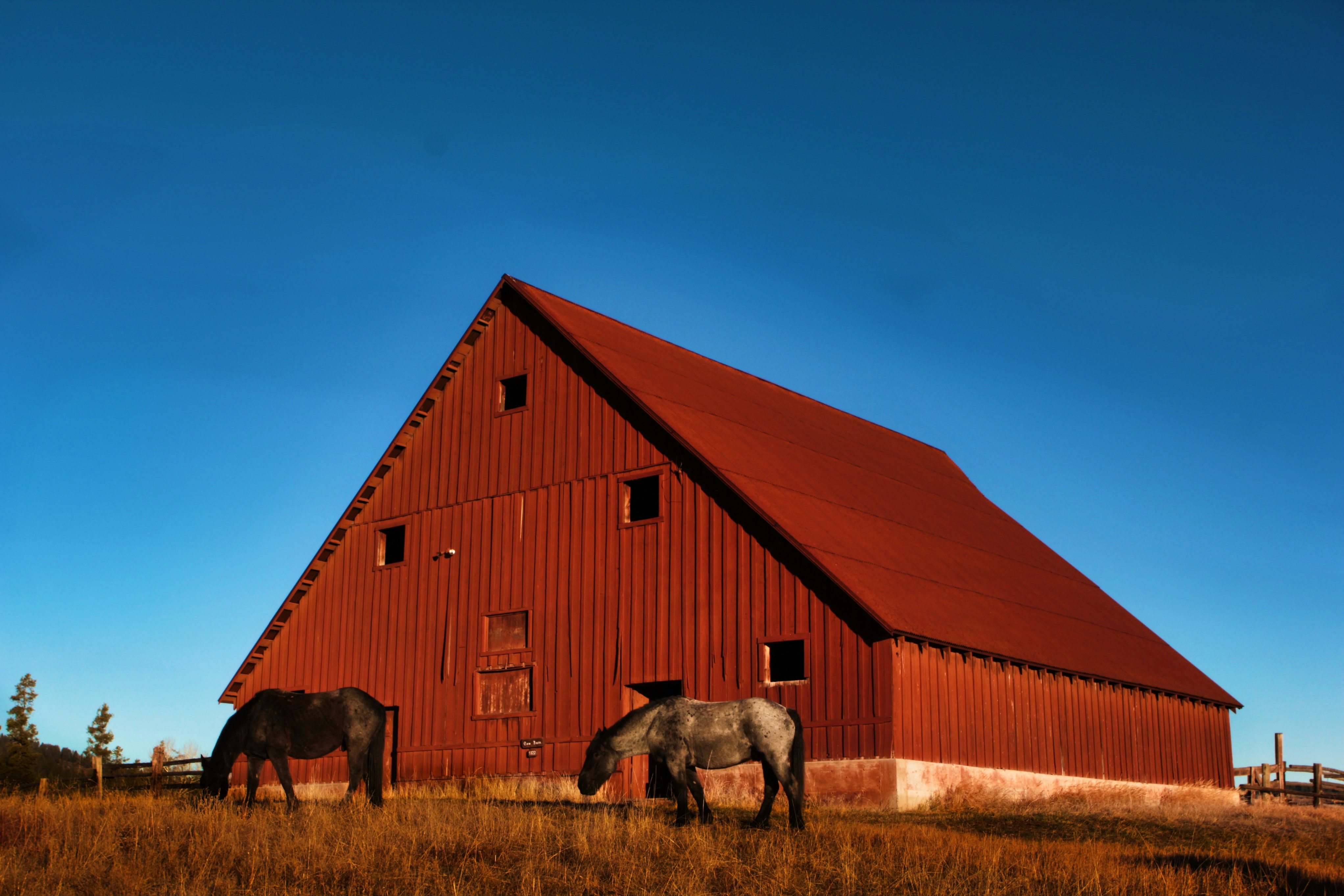 Two Bears Farm and the Three Cubs: The Best Barn Ever, image size:3000x2000