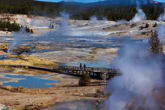 A group of people standing on a bridge over a body of water