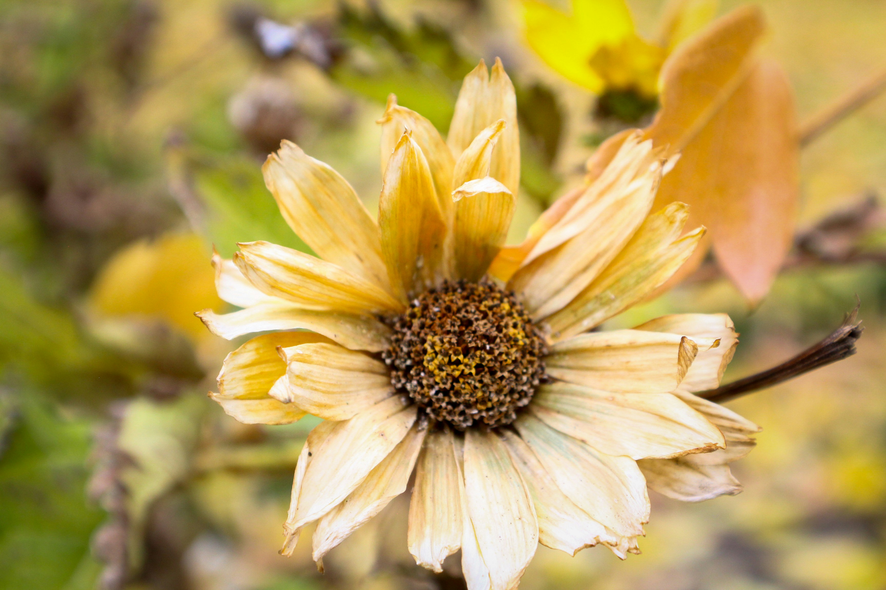 Photo by nwilloughby