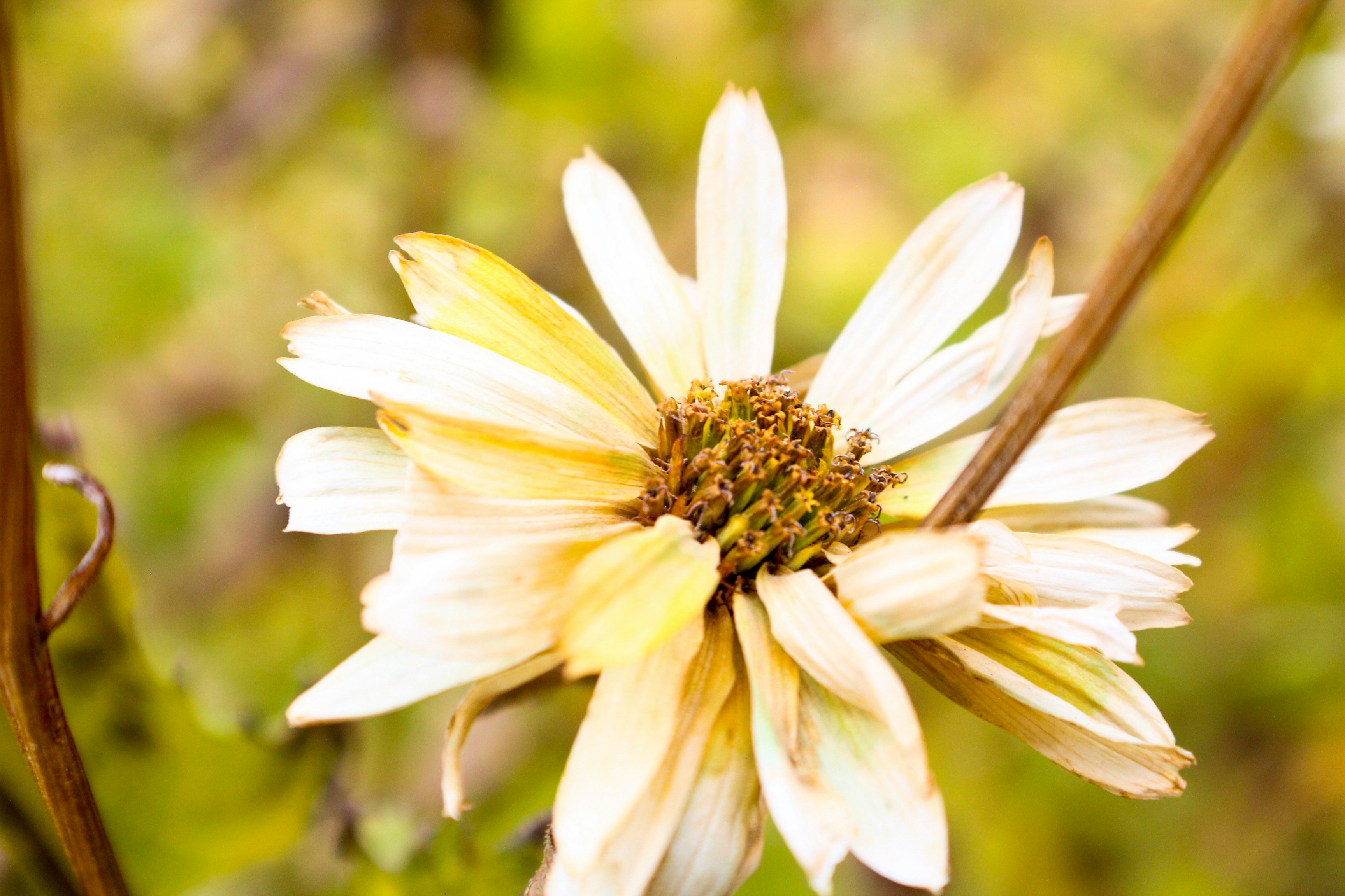 Photo by nwilloughby