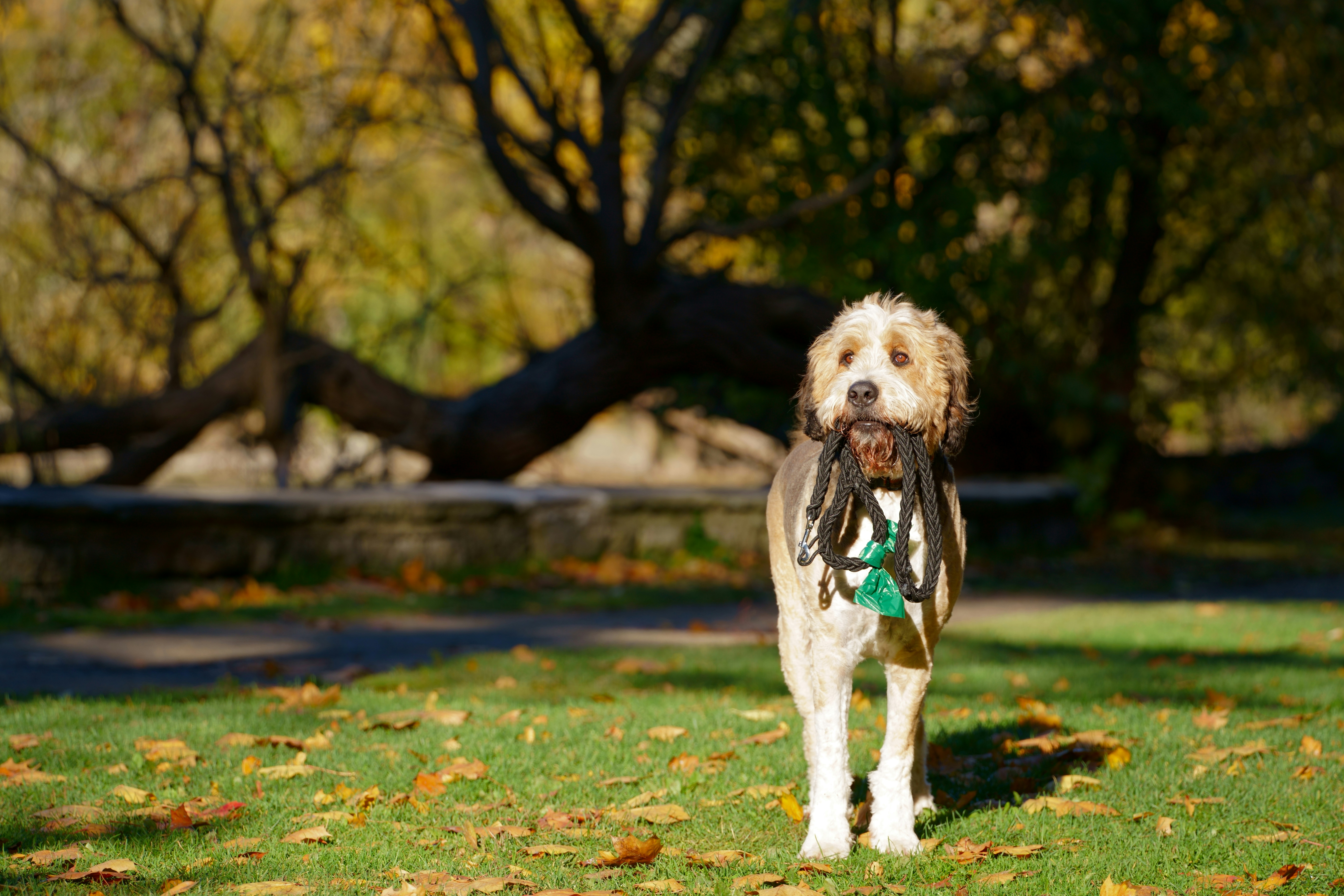 Photo by terrladennis