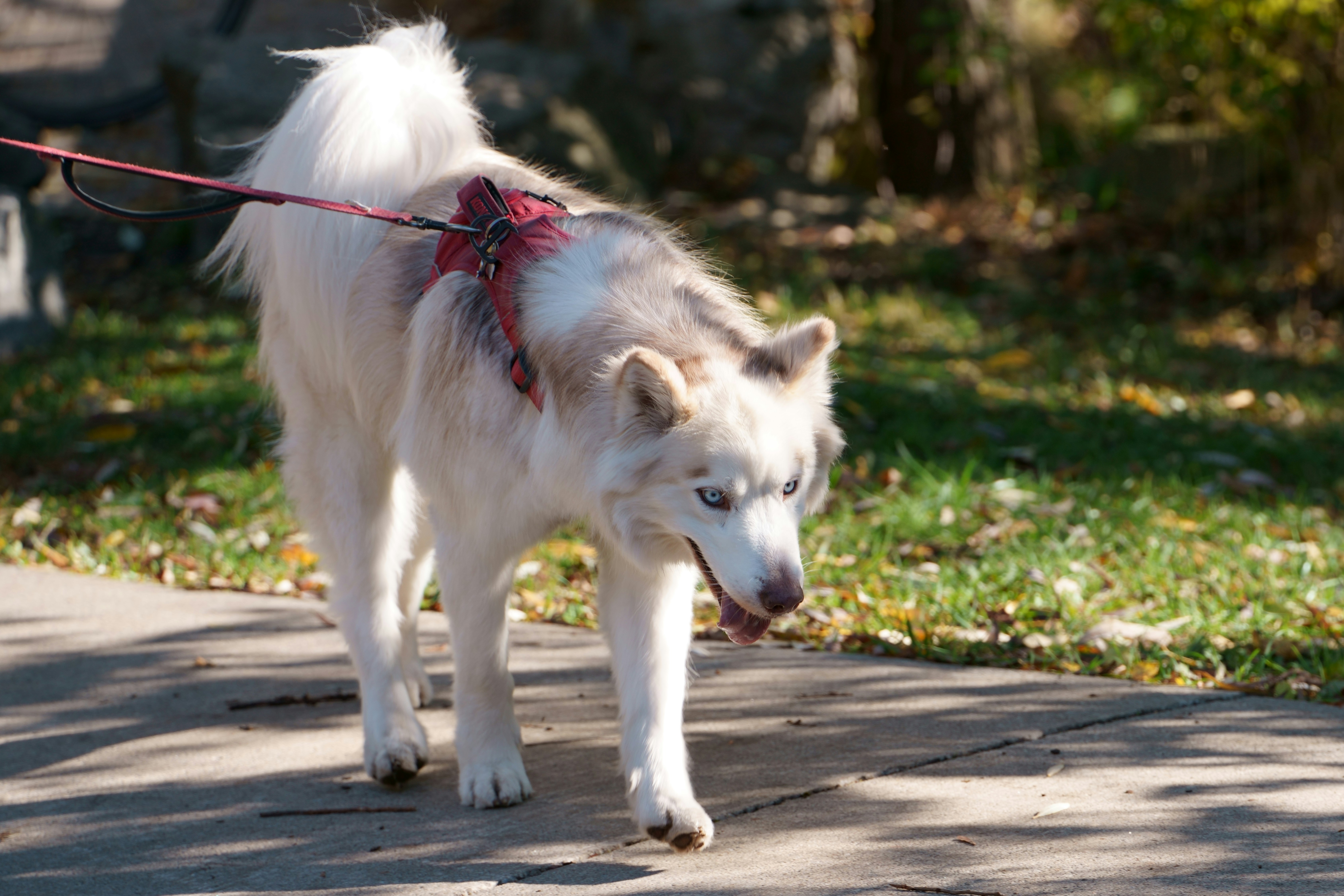 Photo by terrladennis