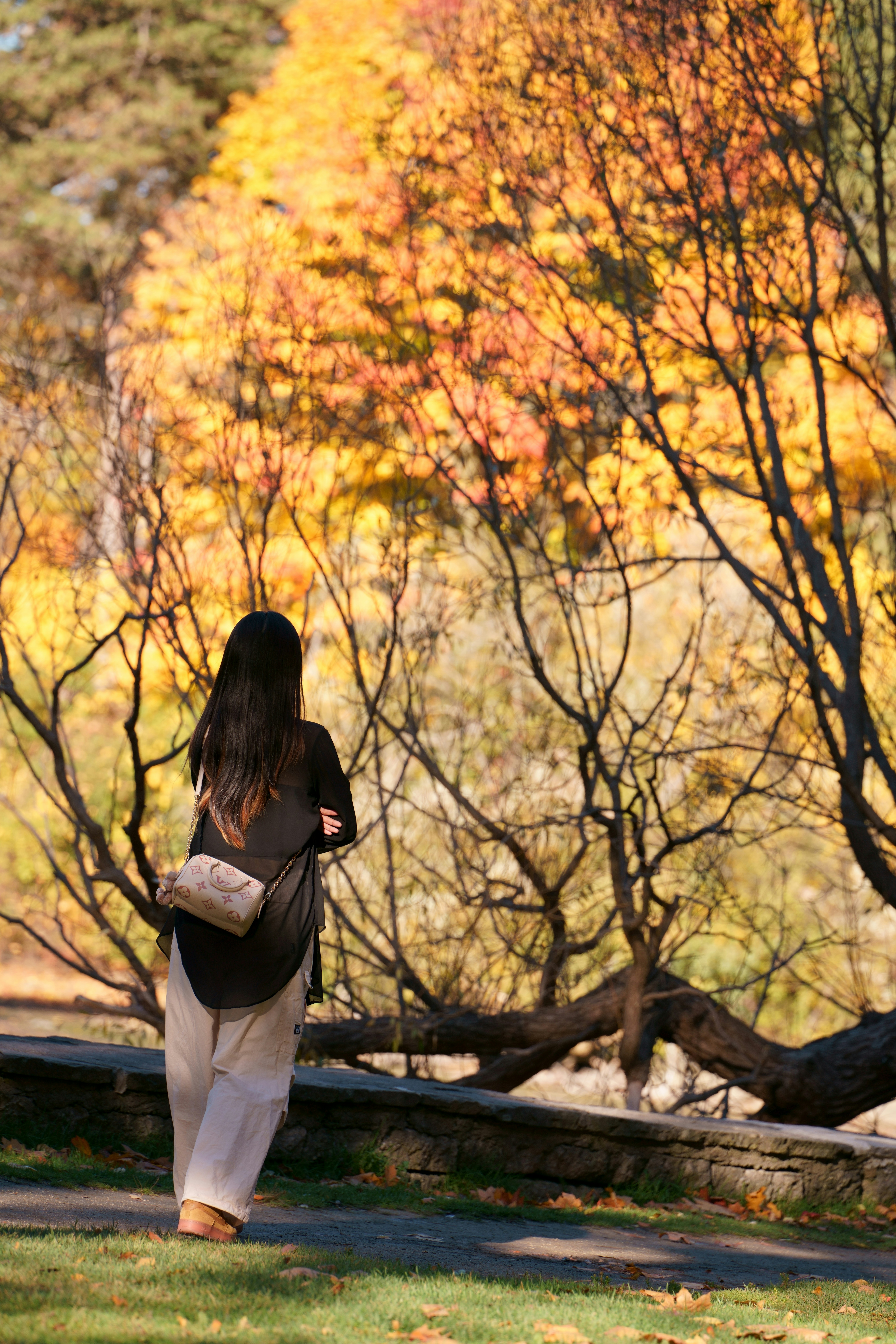 Photo by terrladennis