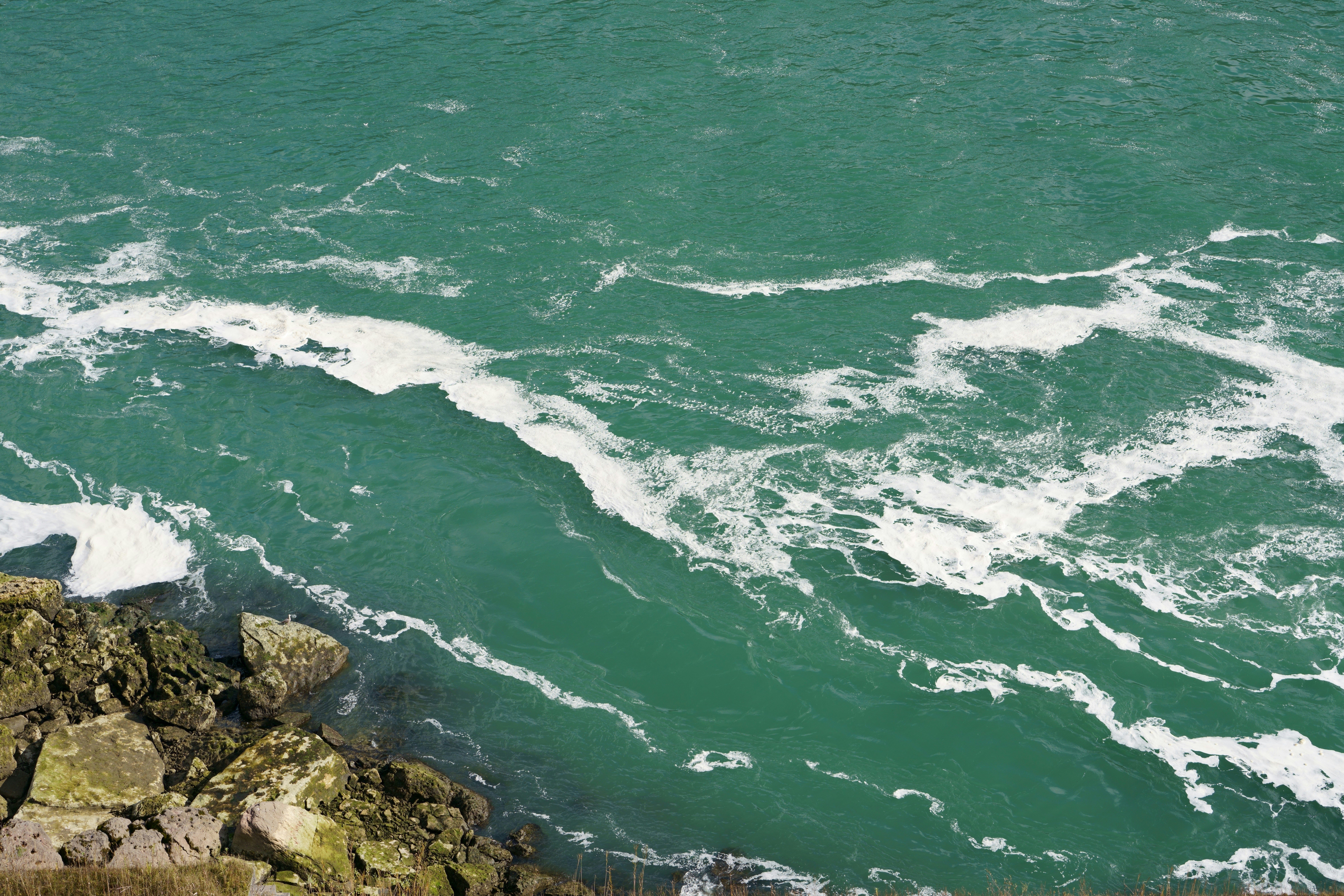 Photo by terrladennis