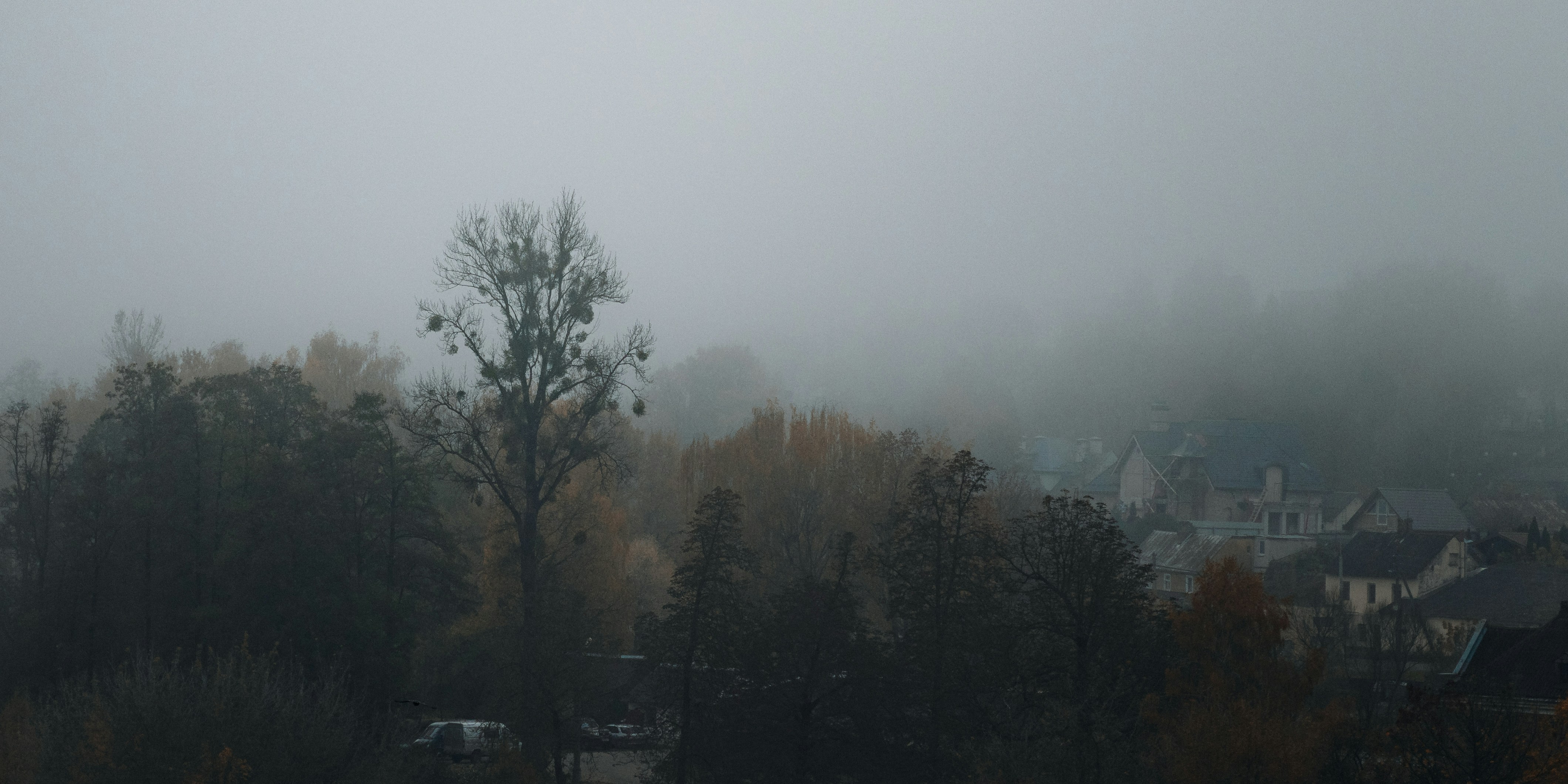 Photo by aleksey_parakhnevich