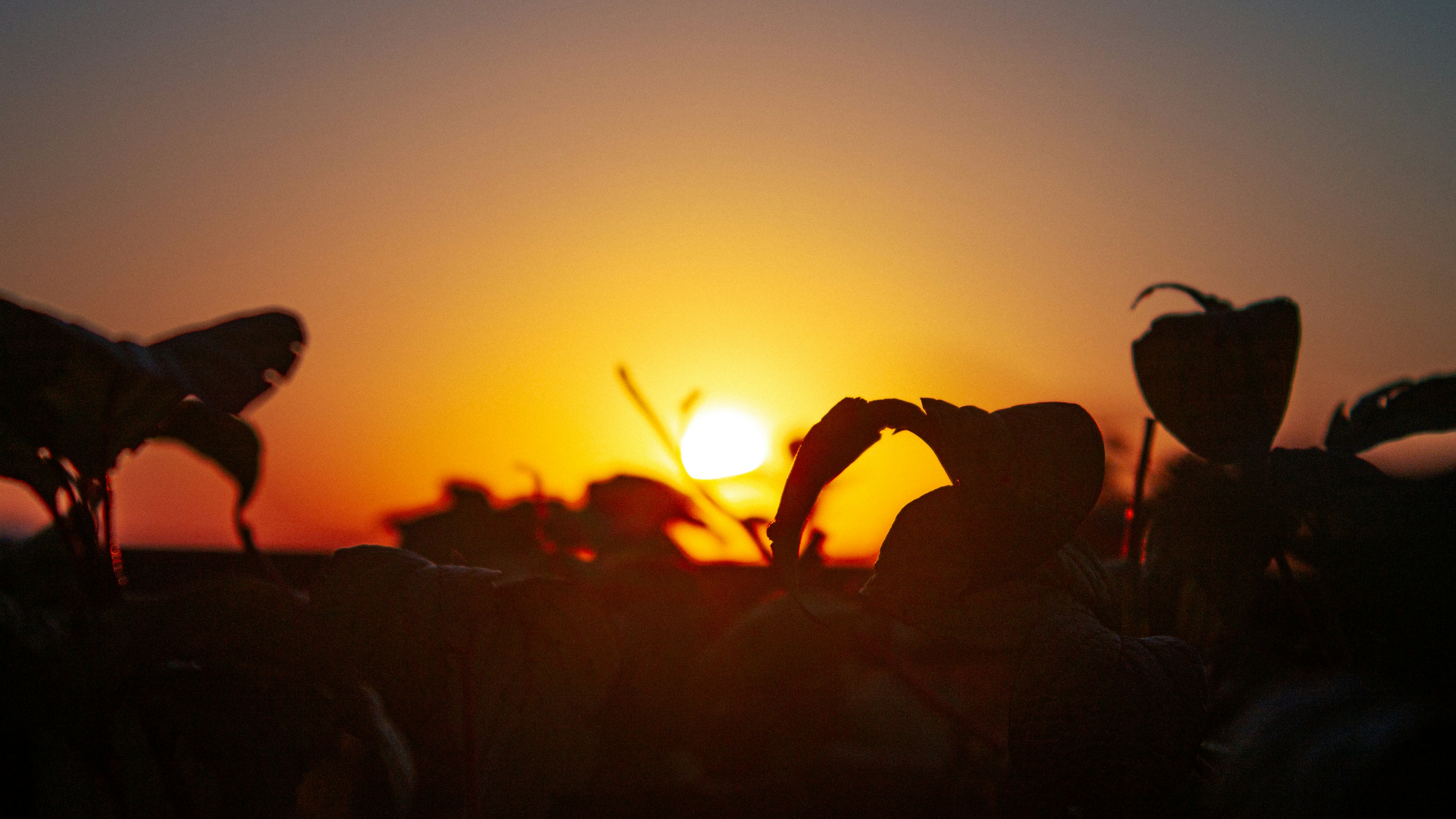 Photo by aleksey_parakhnevich