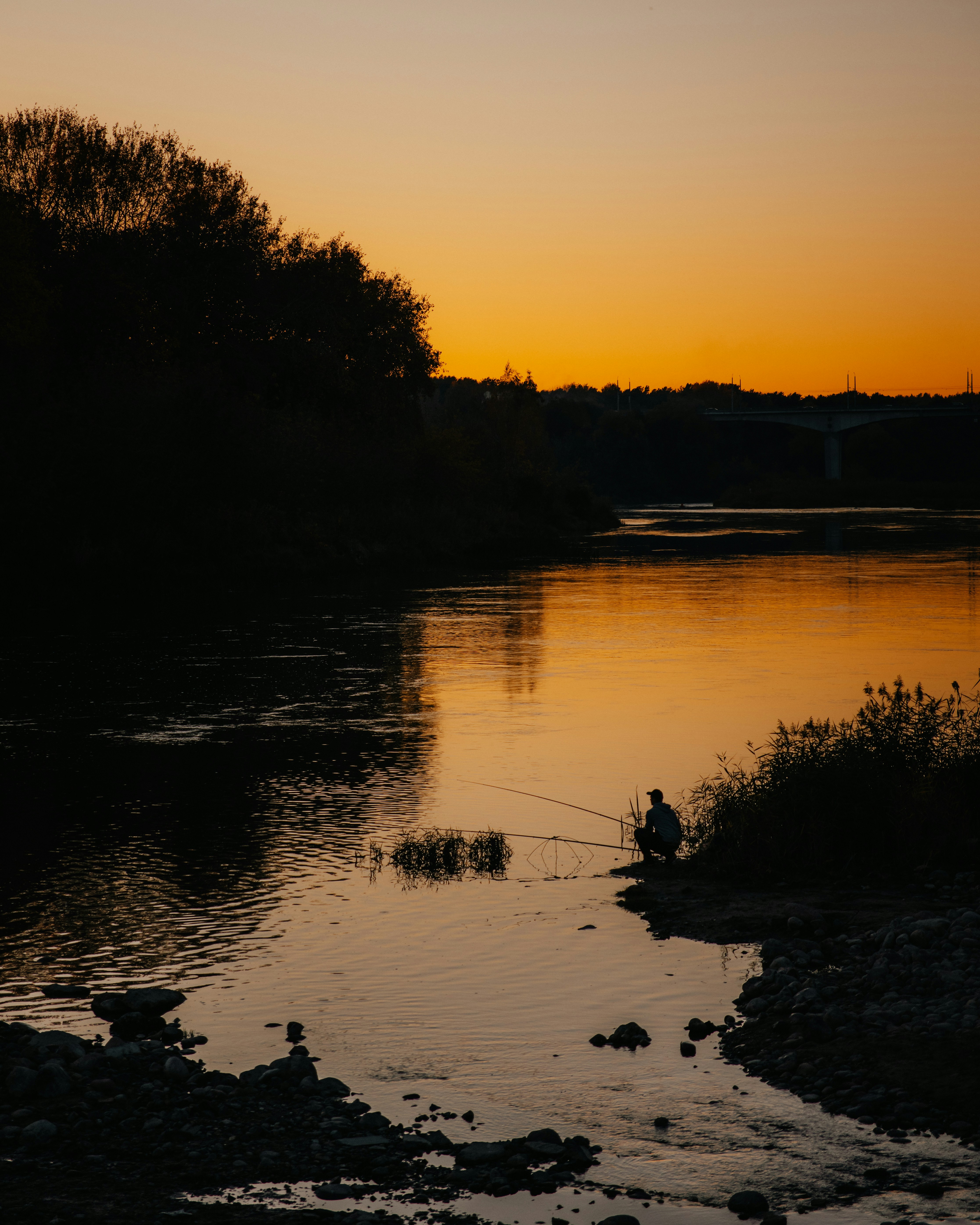 Photo by aleksey_parakhnevich