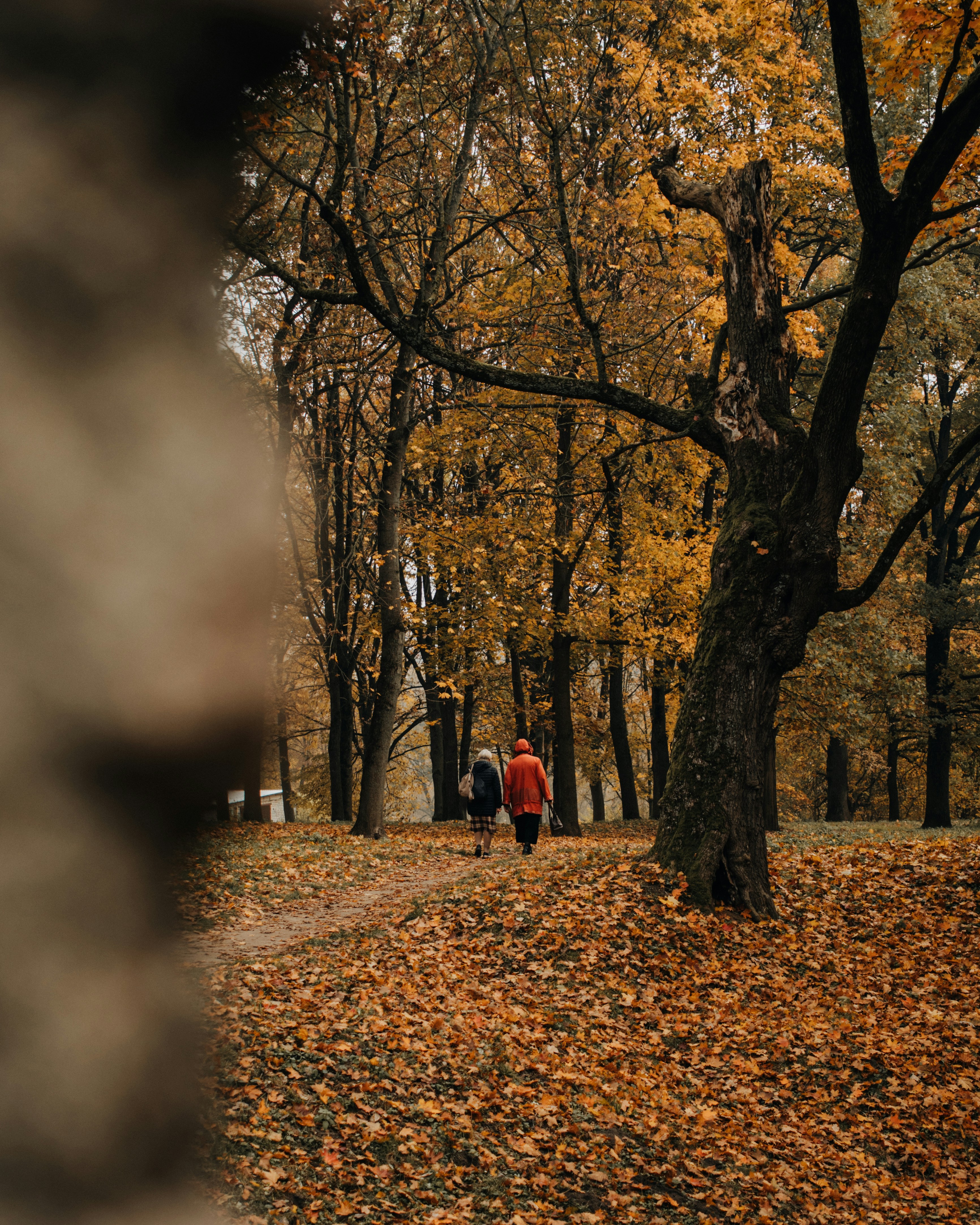 Photo by aleksey_parakhnevich