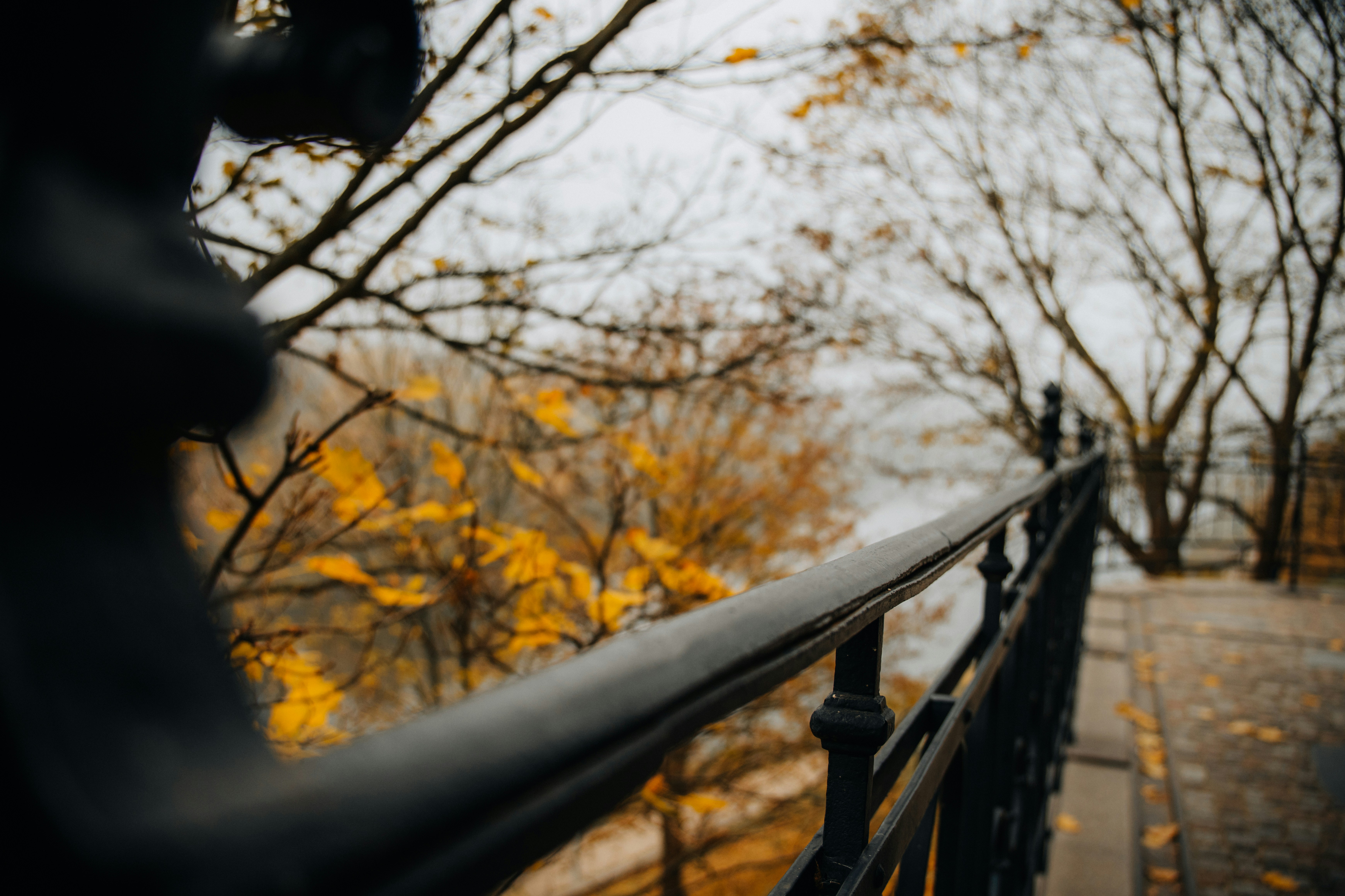 Photo by aleksey_parakhnevich