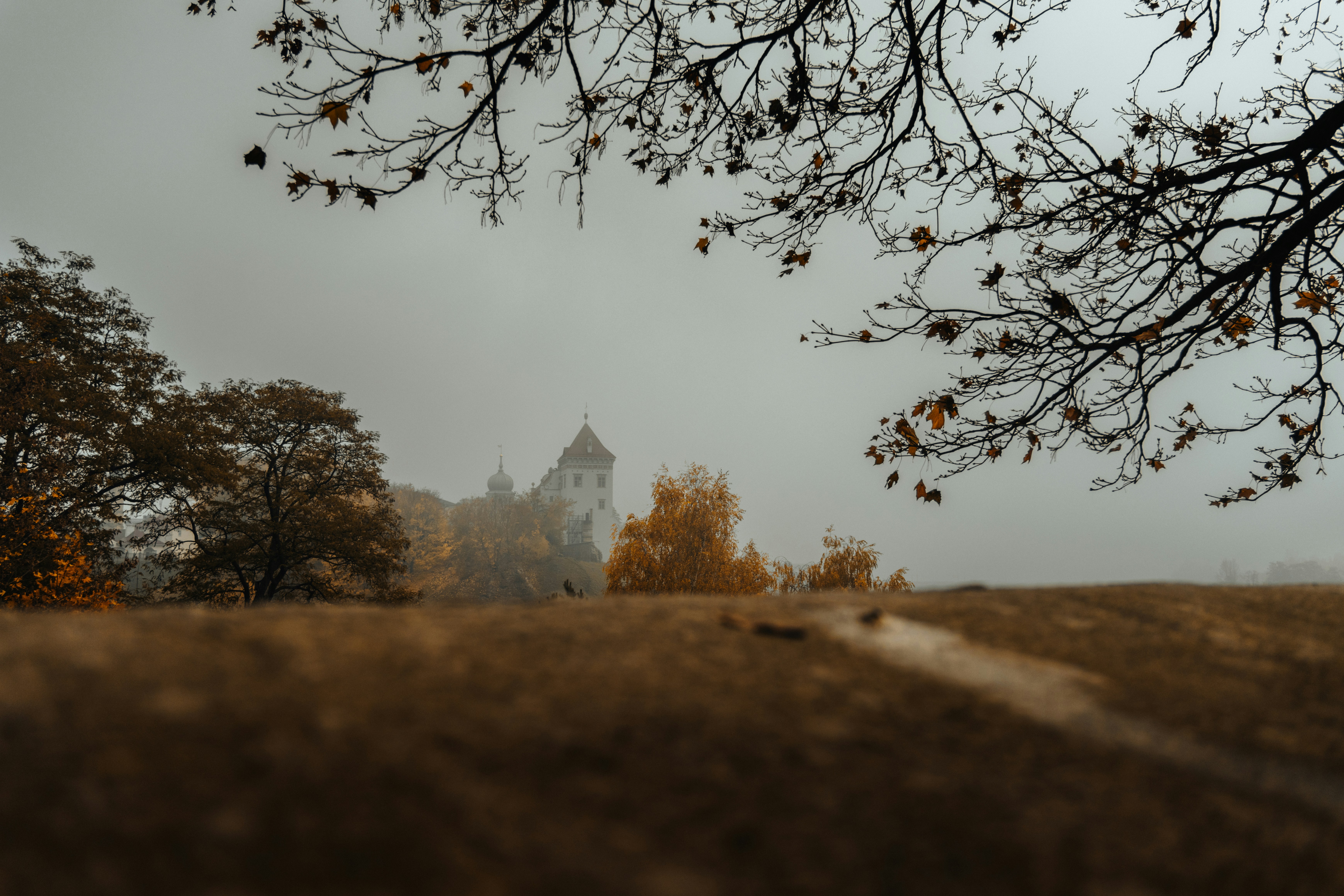 Photo by aleksey_parakhnevich