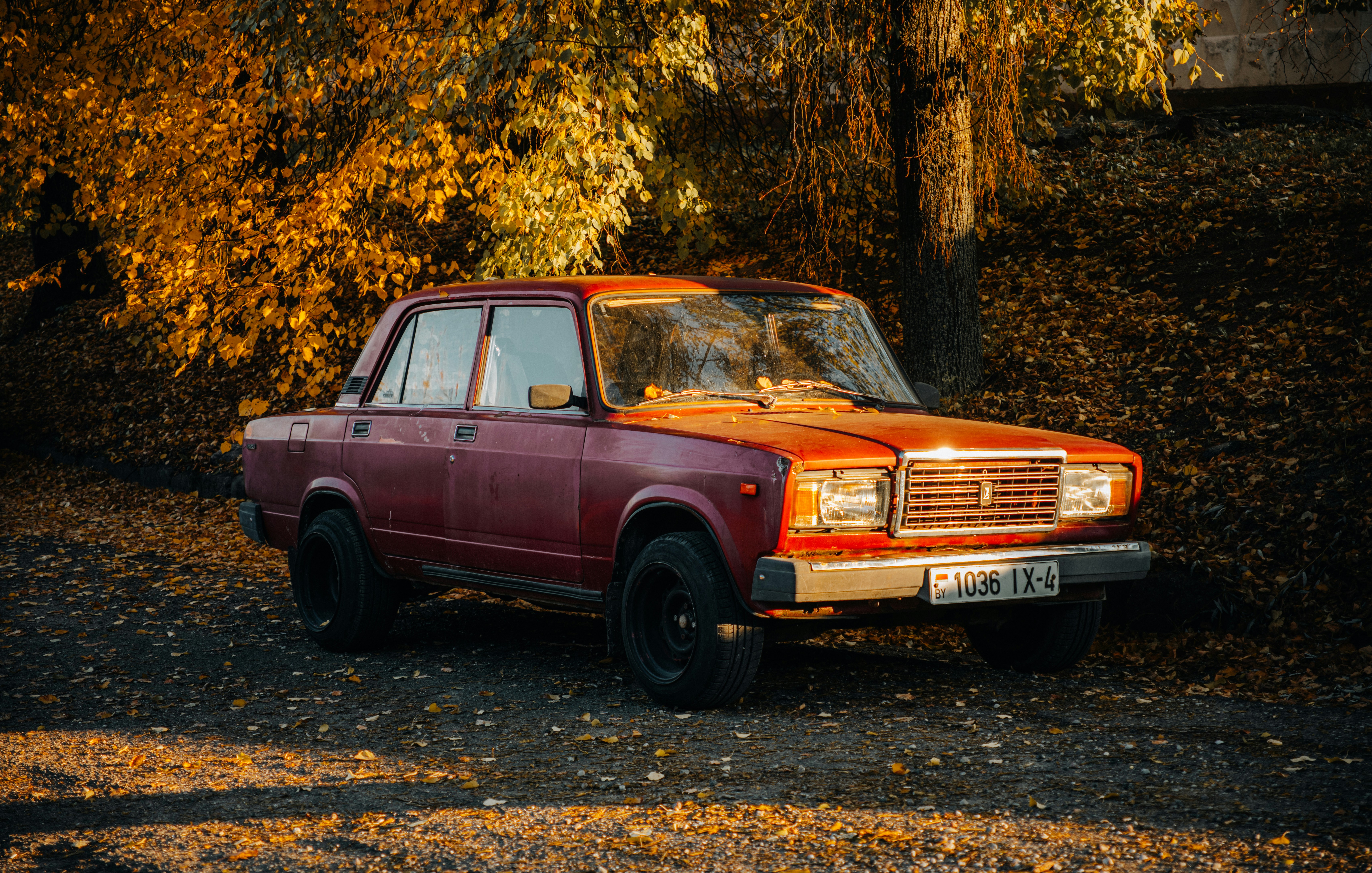 Photo by aleksey_parakhnevich