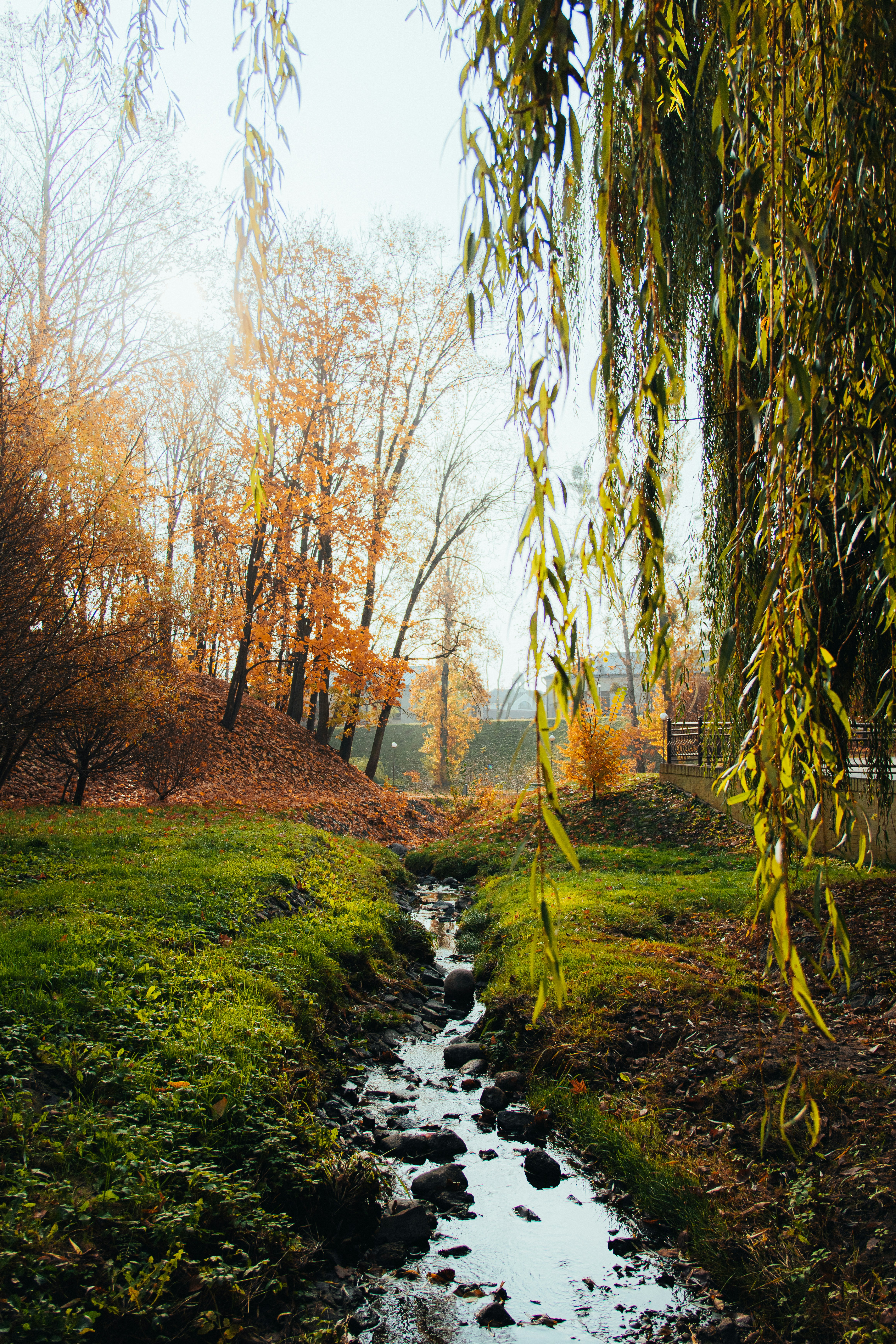 Photo by aleksey_parakhnevich