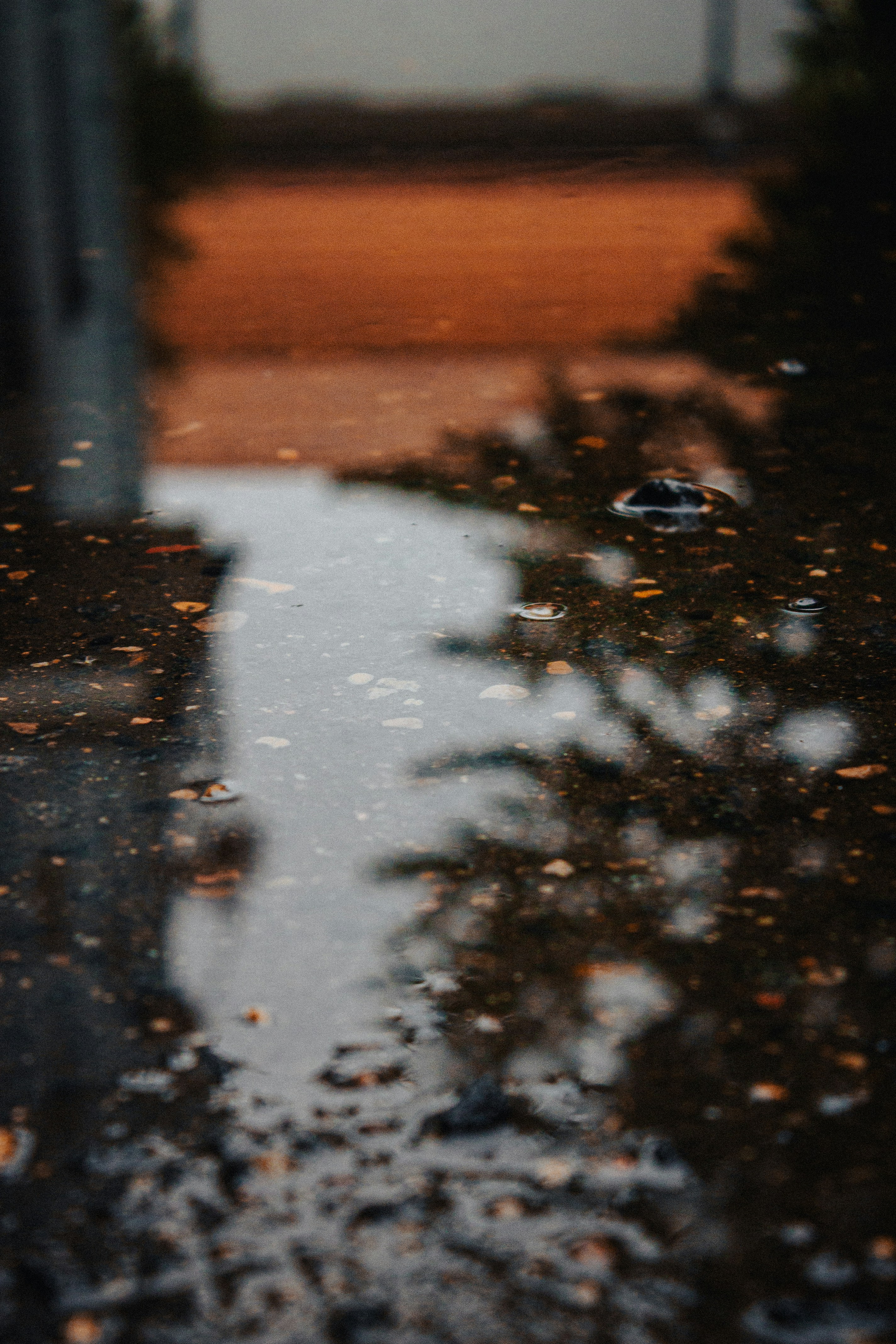 Photo by aleksey_parakhnevich