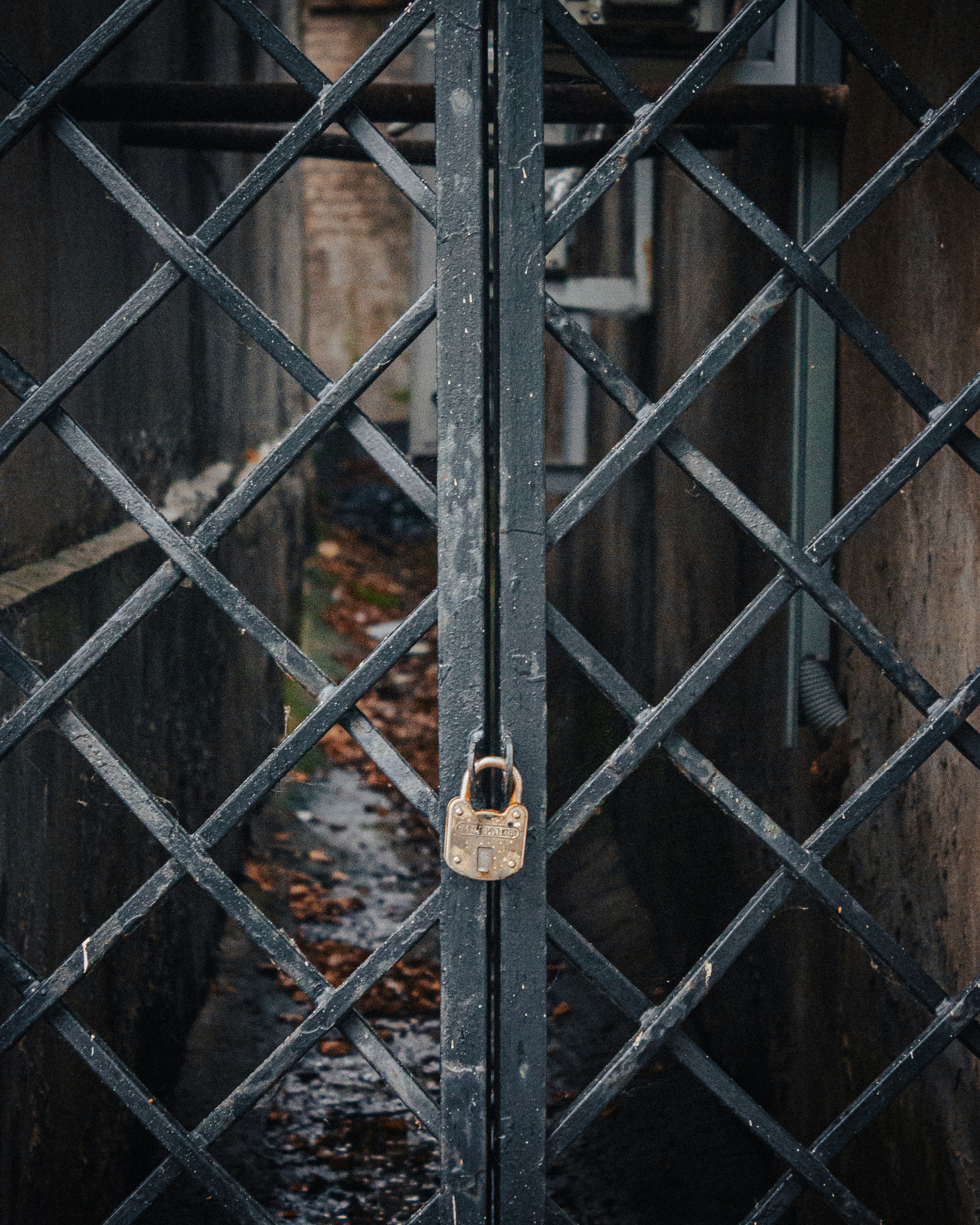 A metal gate with a lock on it