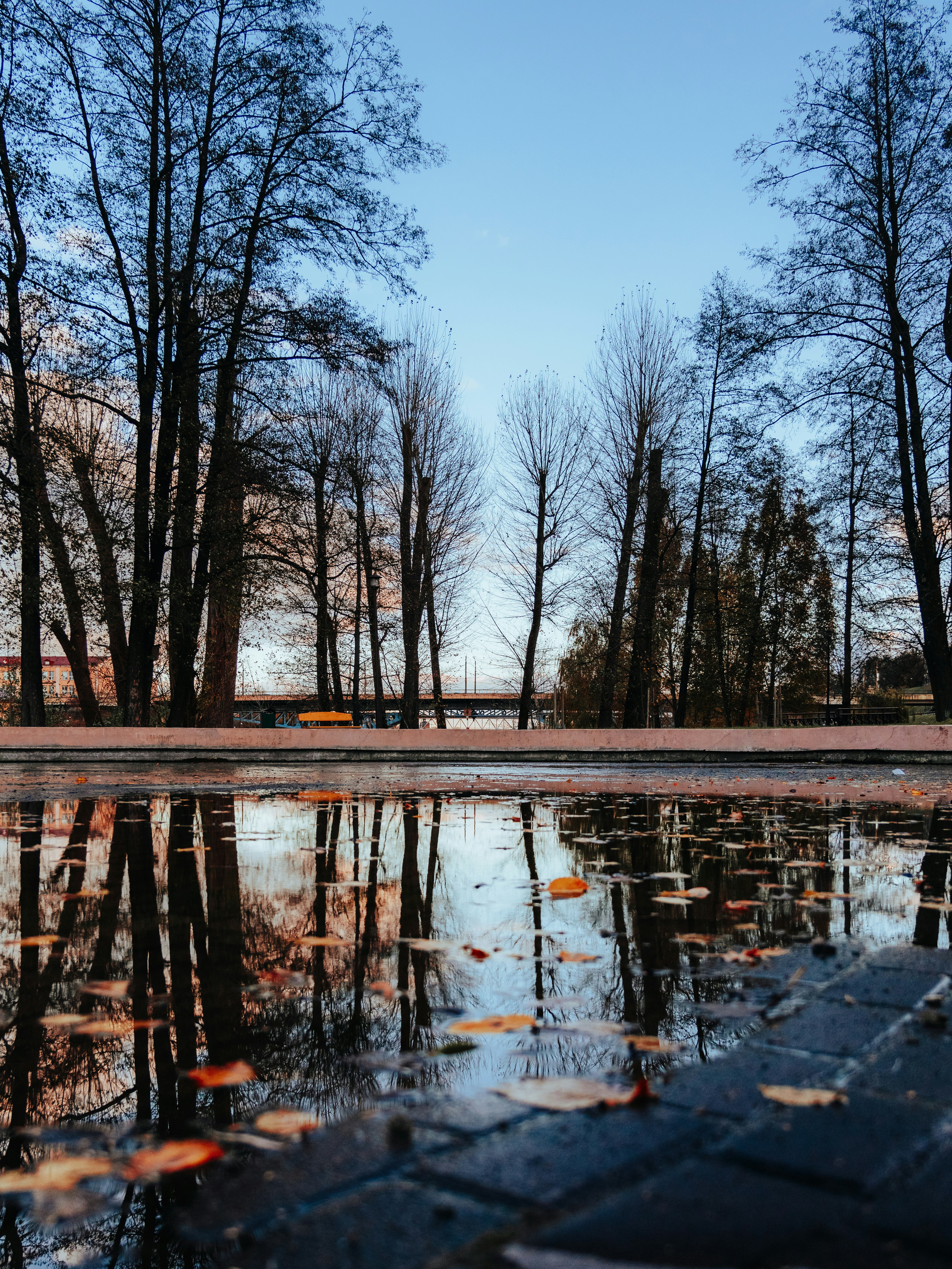 Photo by aleksey_parakhnevich