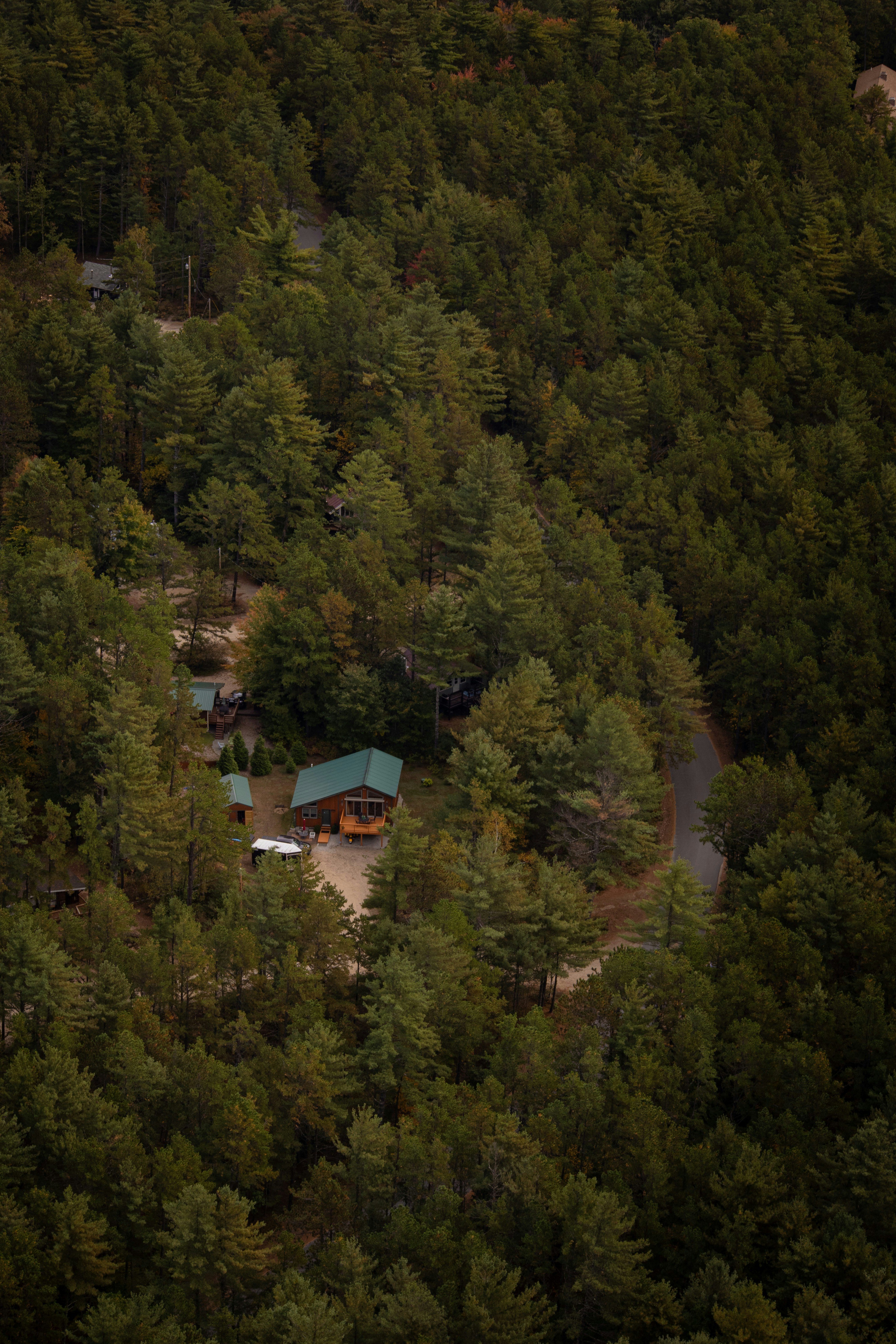 A cabin nestled in the middle of a forest photo – Free Forest Image on ...