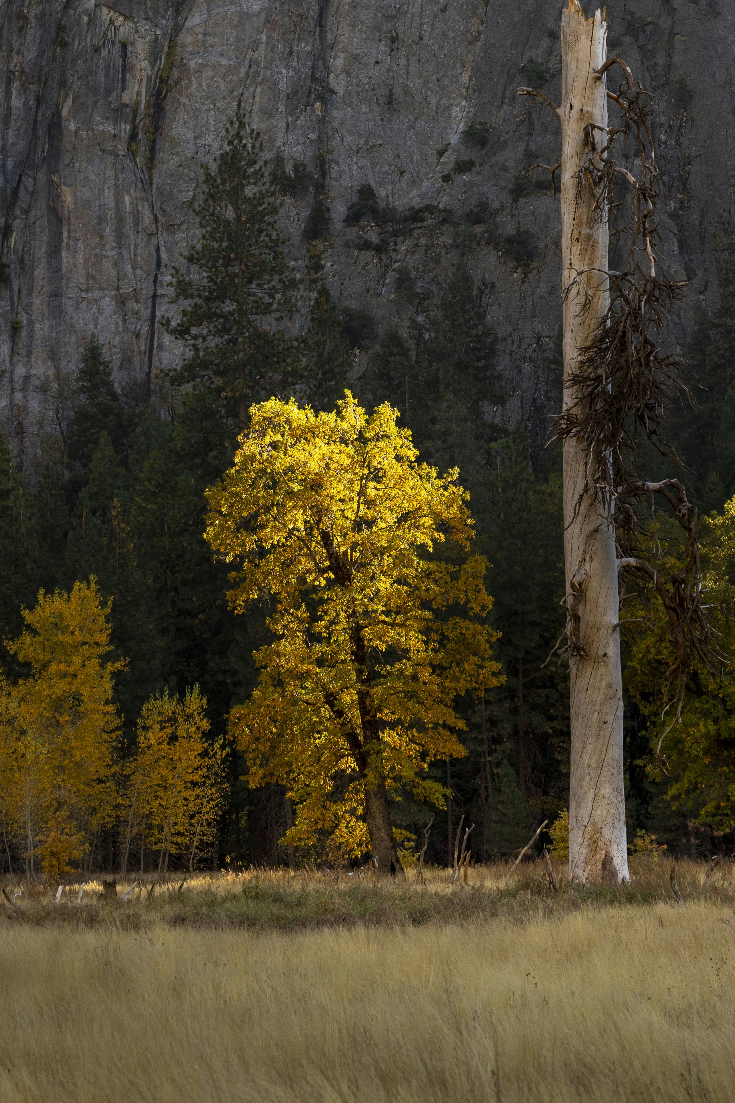 Photo by leo_visions_