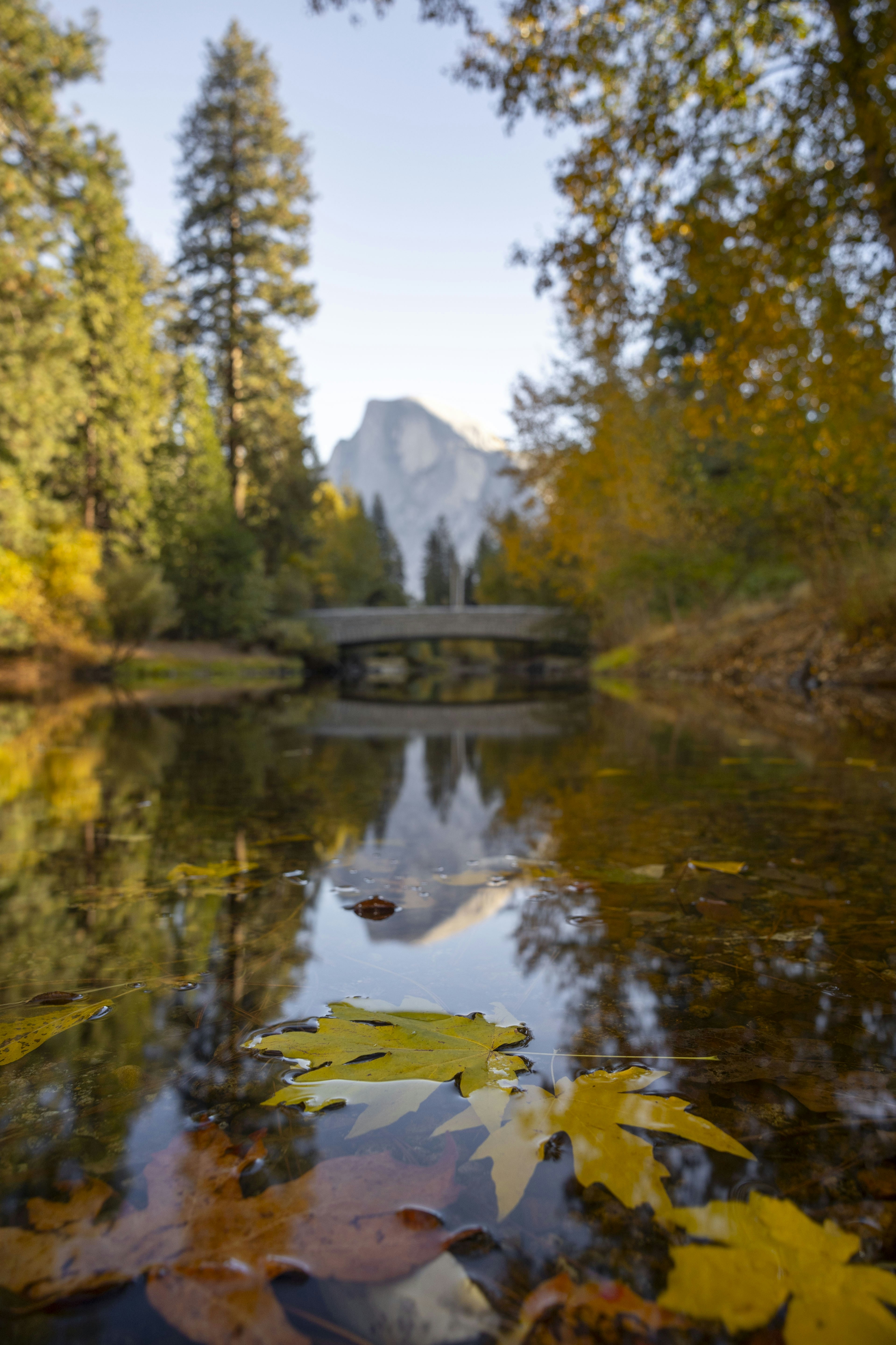 Photo by leo_visions_