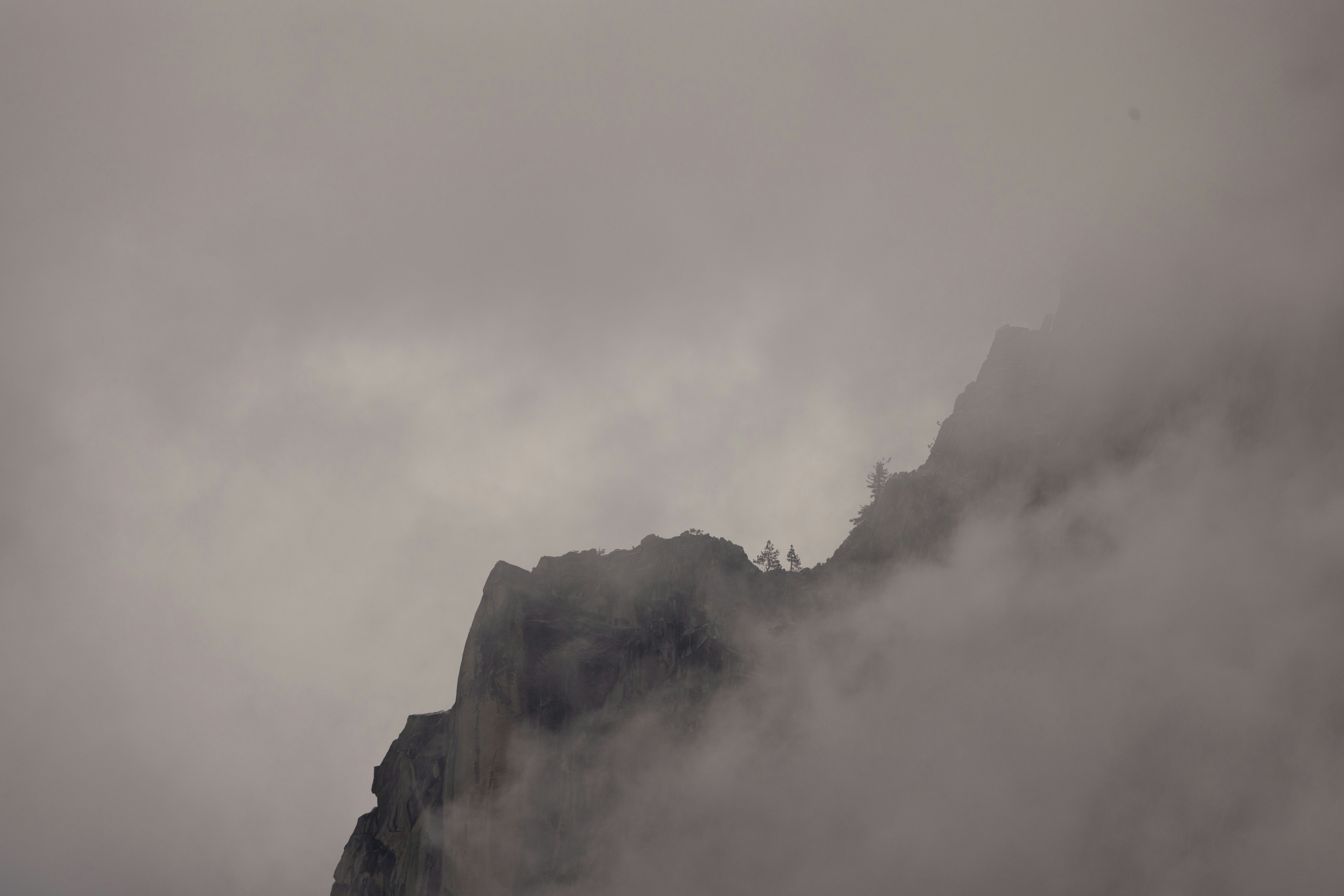 Photo by leo_visions_