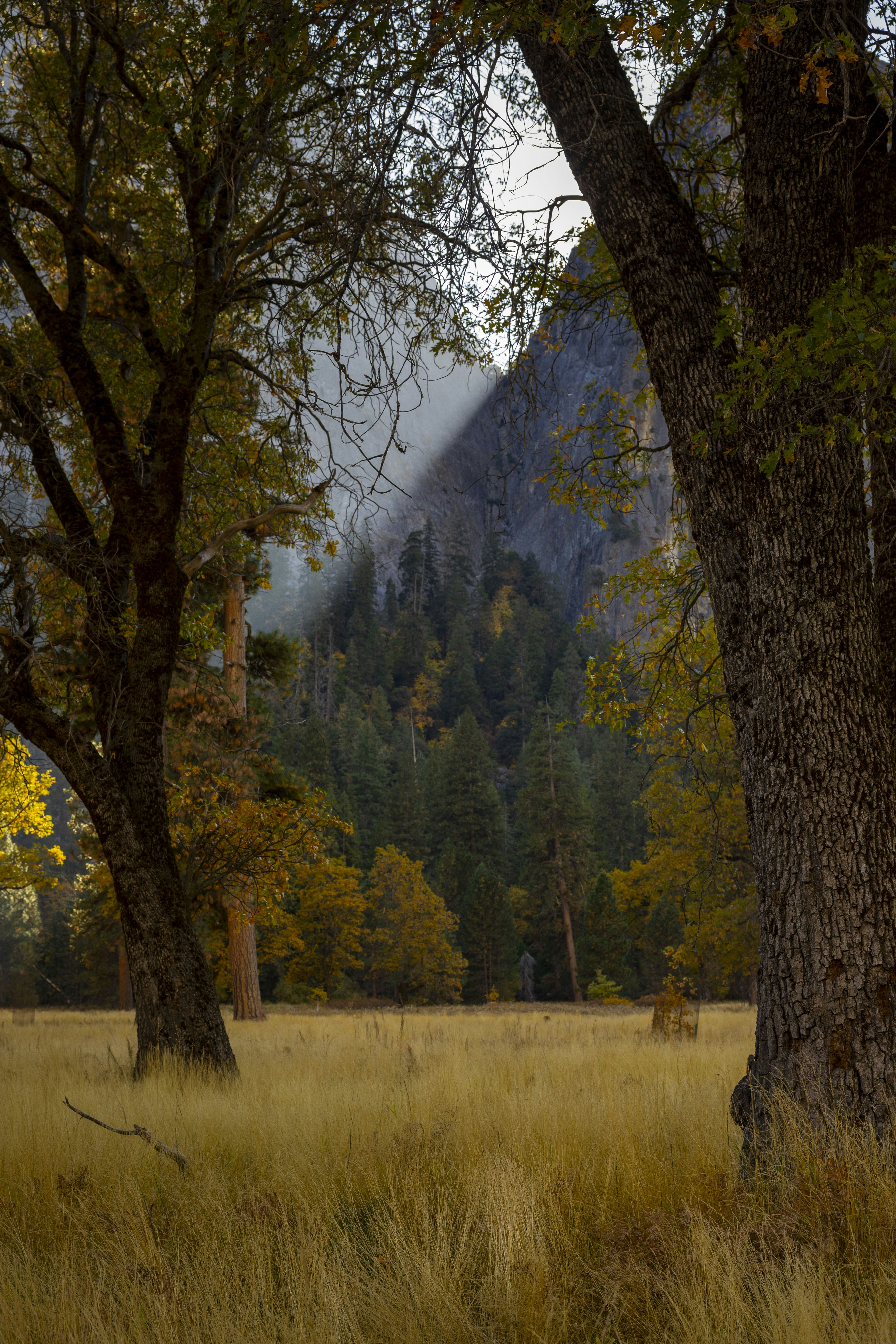 Photo by leo_visions_