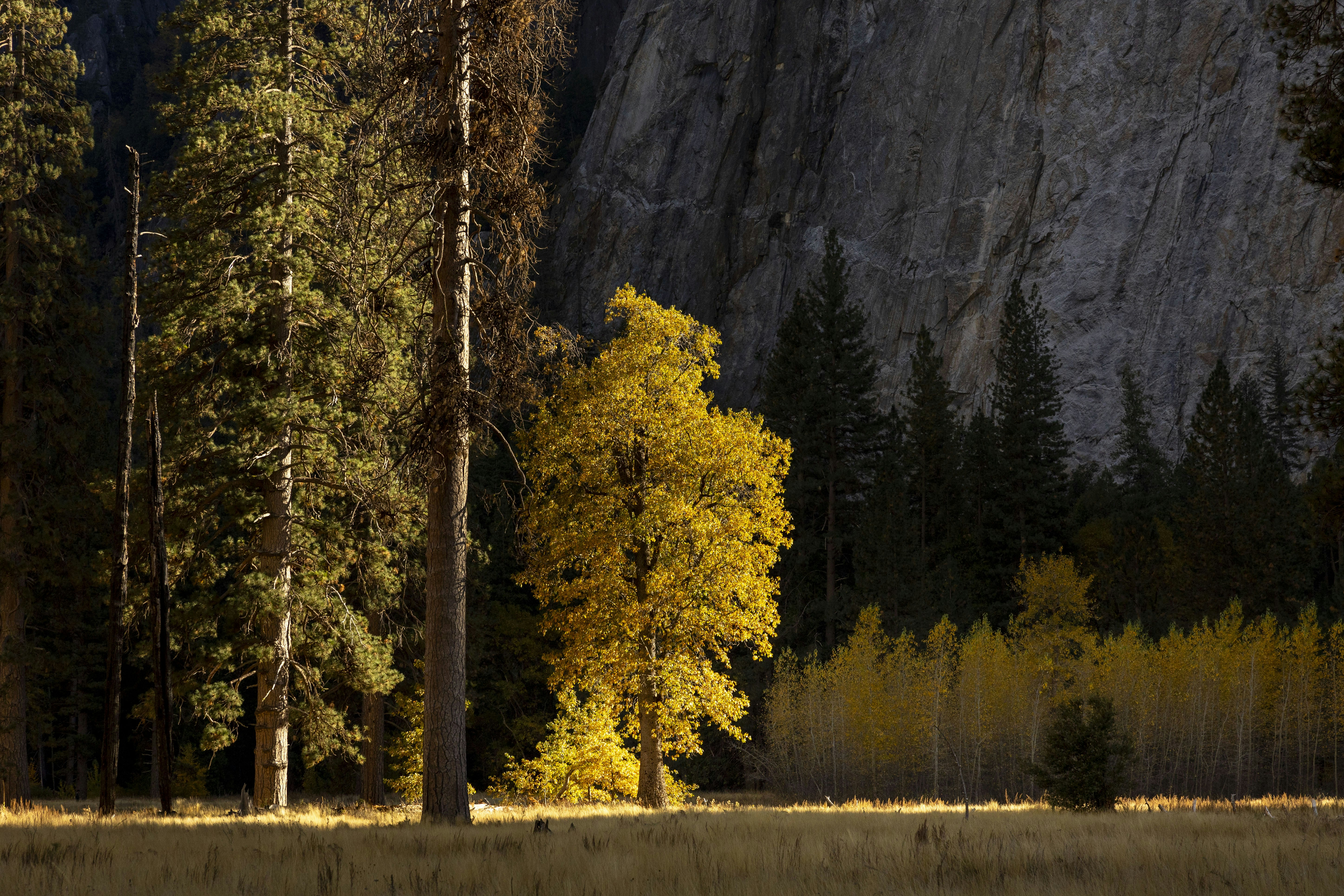 Photo by leo_visions_