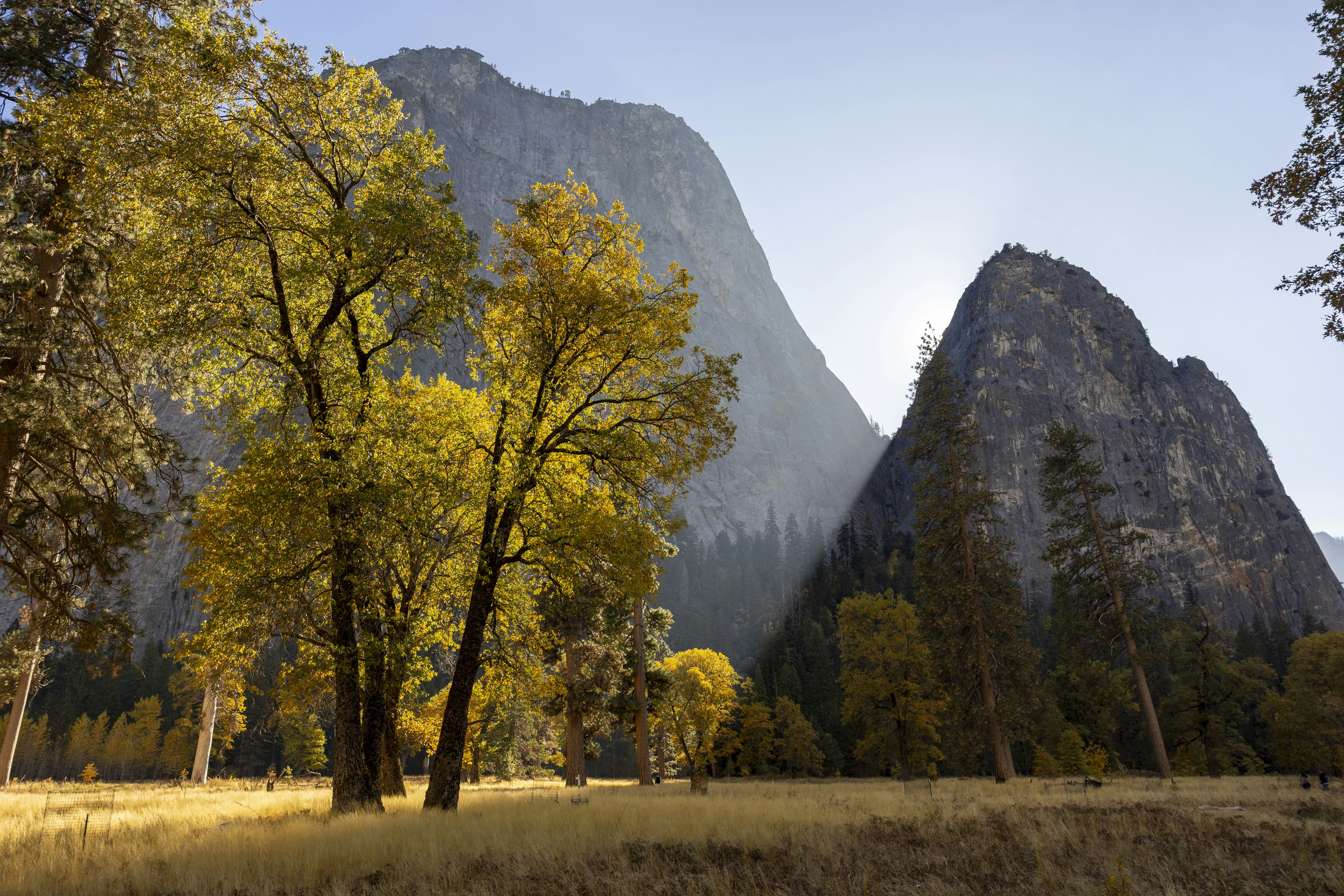 Photo by leo_visions_