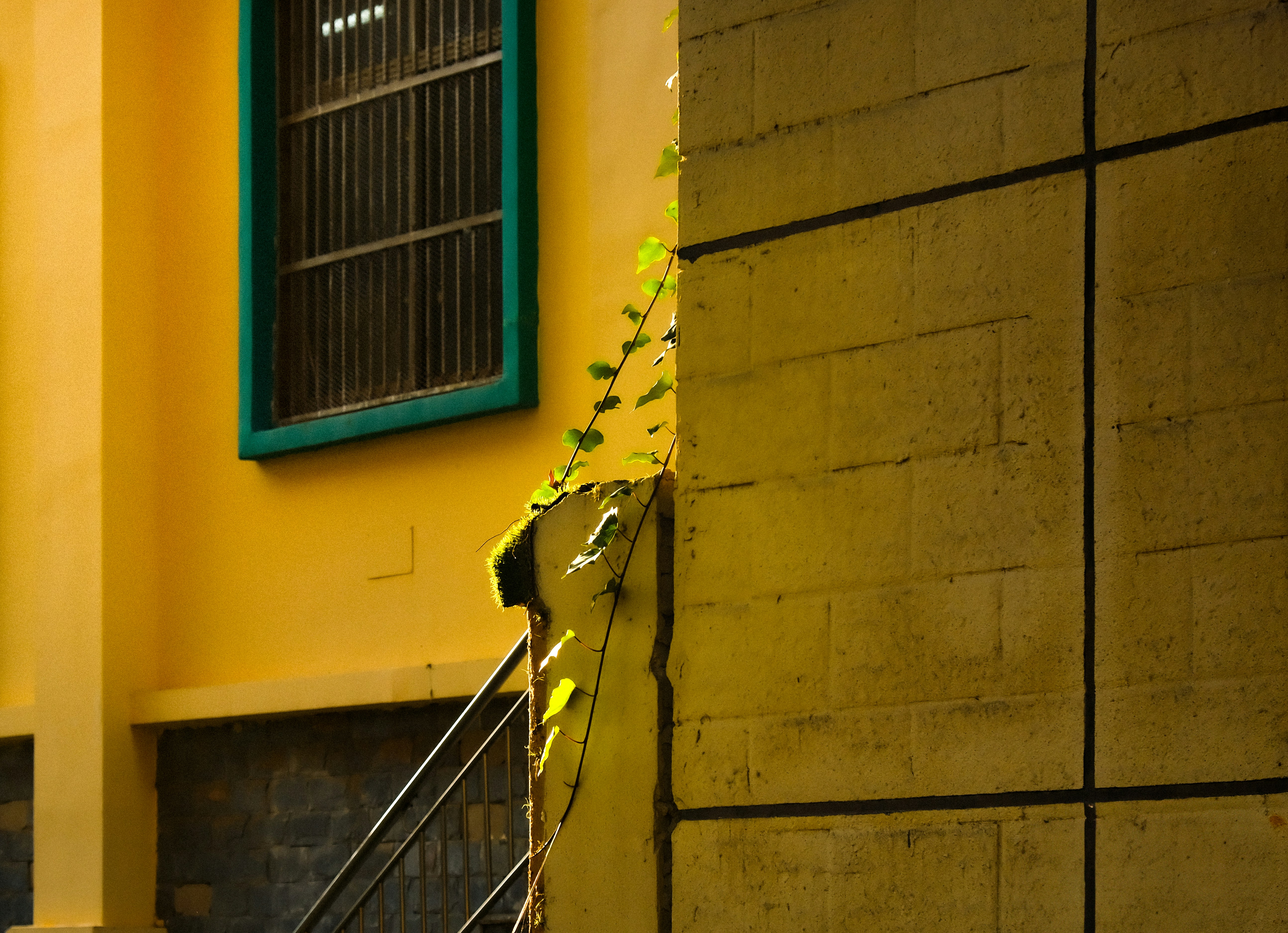 A man walking down a street past a building