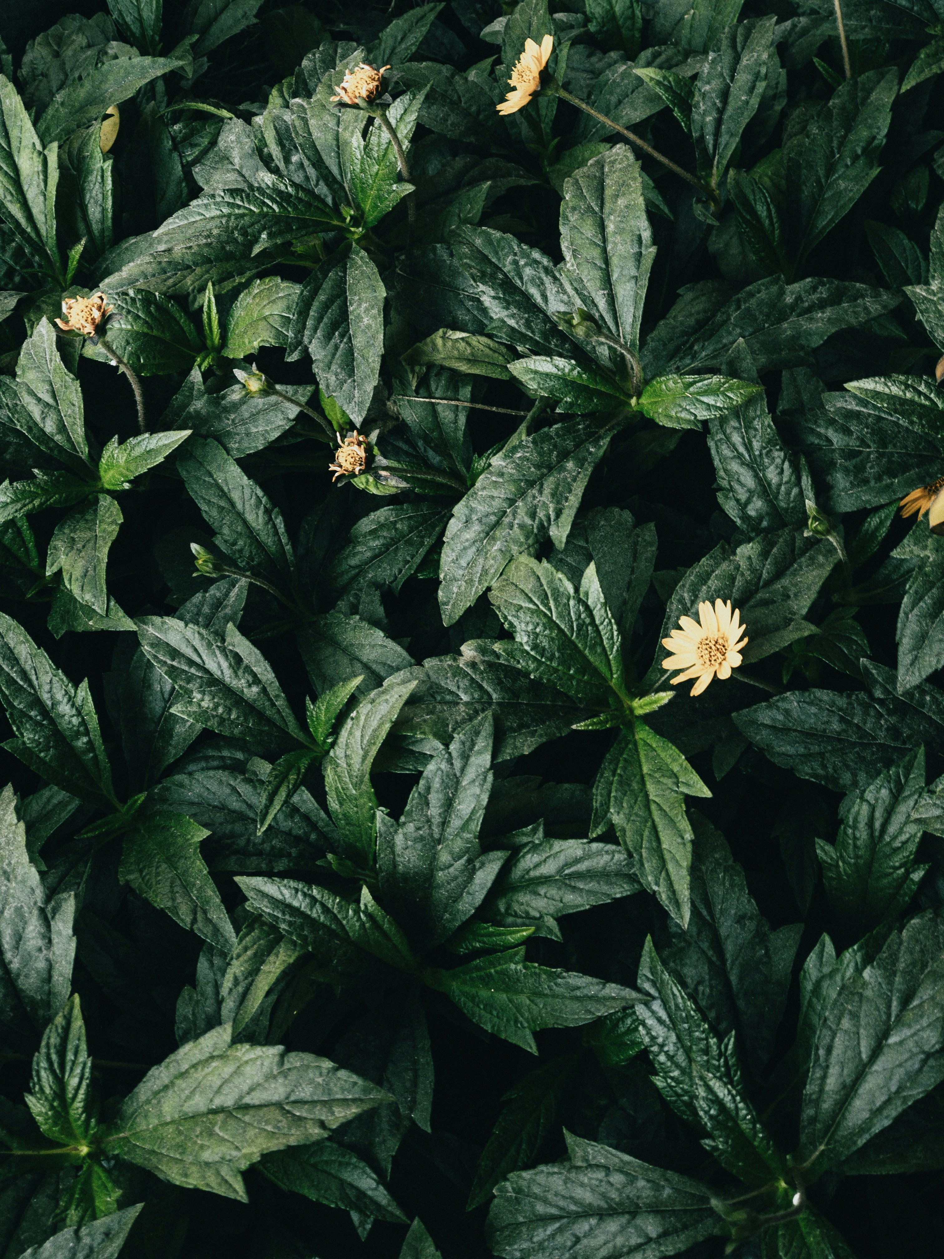 Photo by amritanshdubey