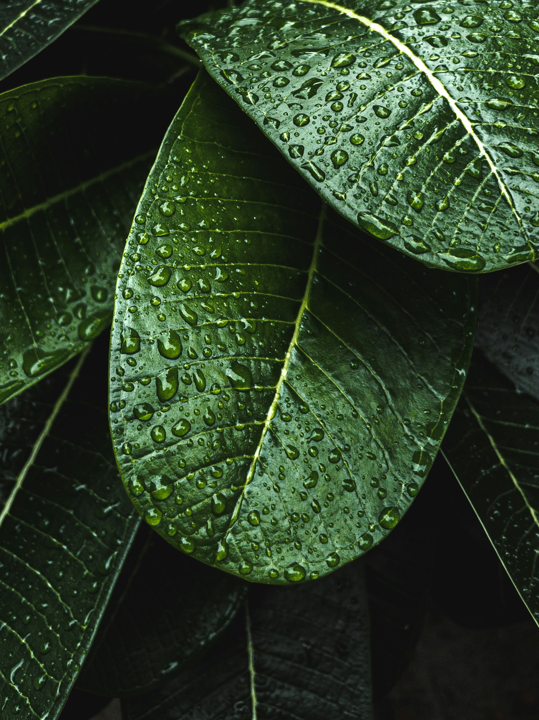 Photo by amritanshdubey