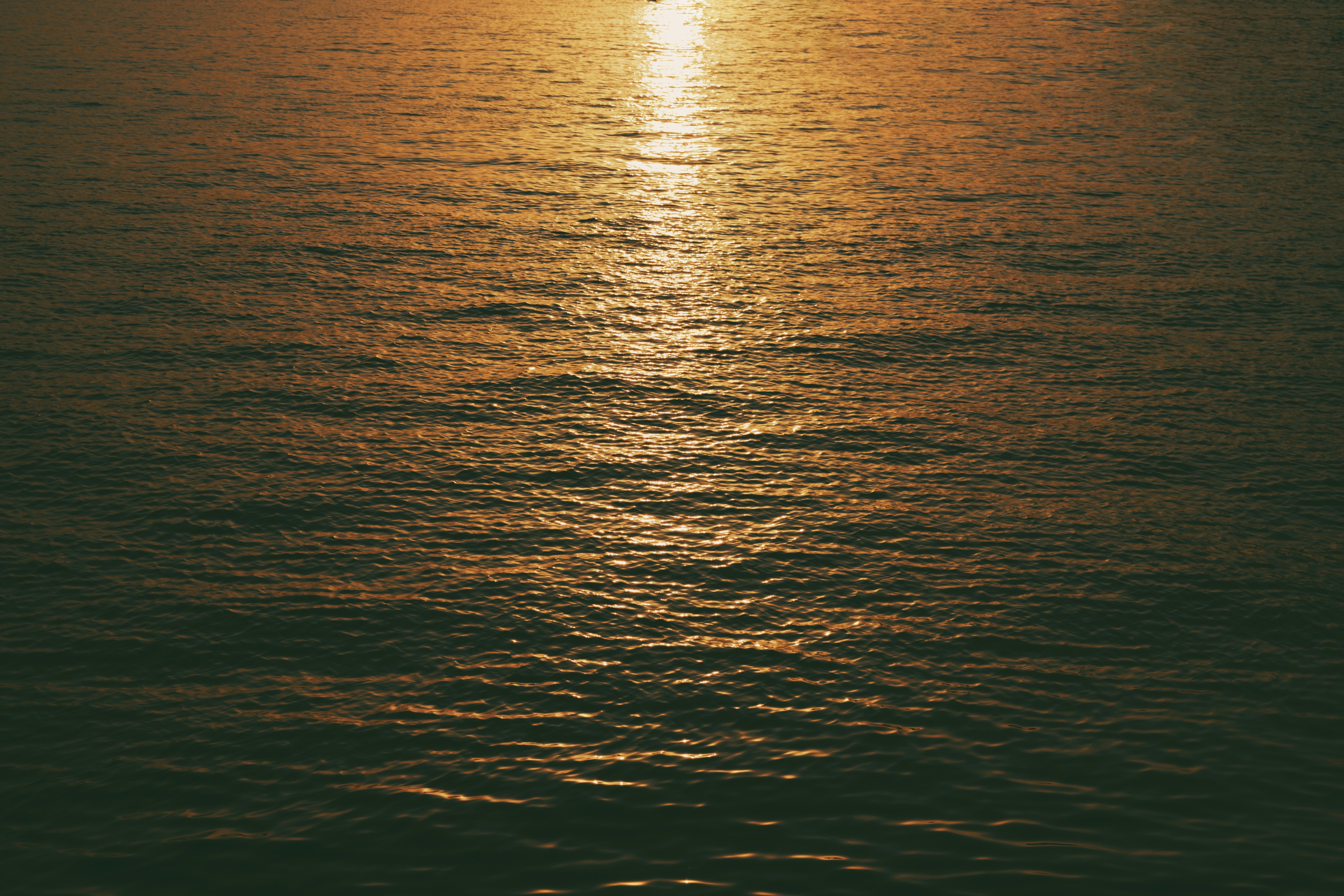 Photo by siyawvash