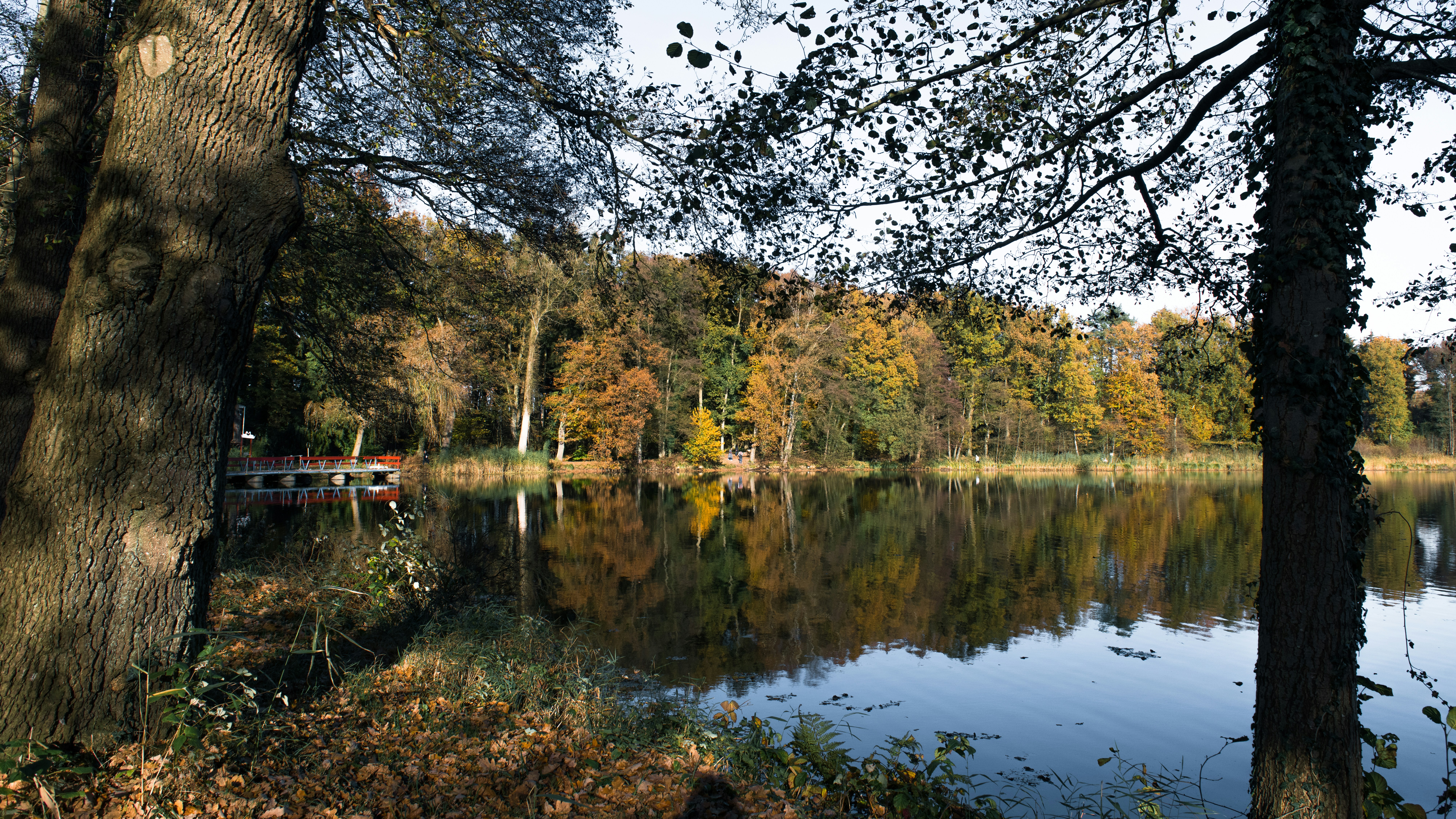 Photo by hamburgmeinefreundin