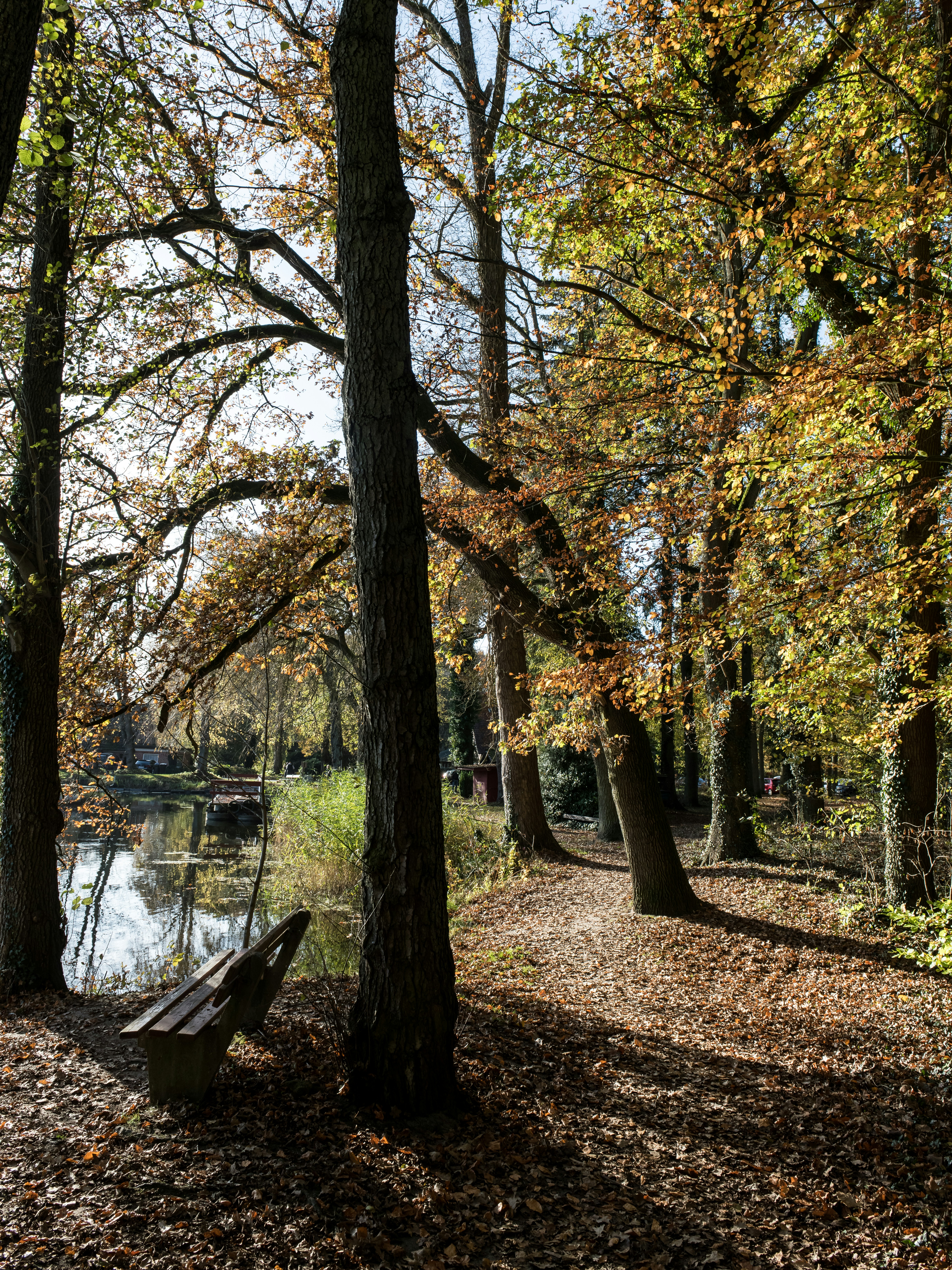 Photo by hamburgmeinefreundin