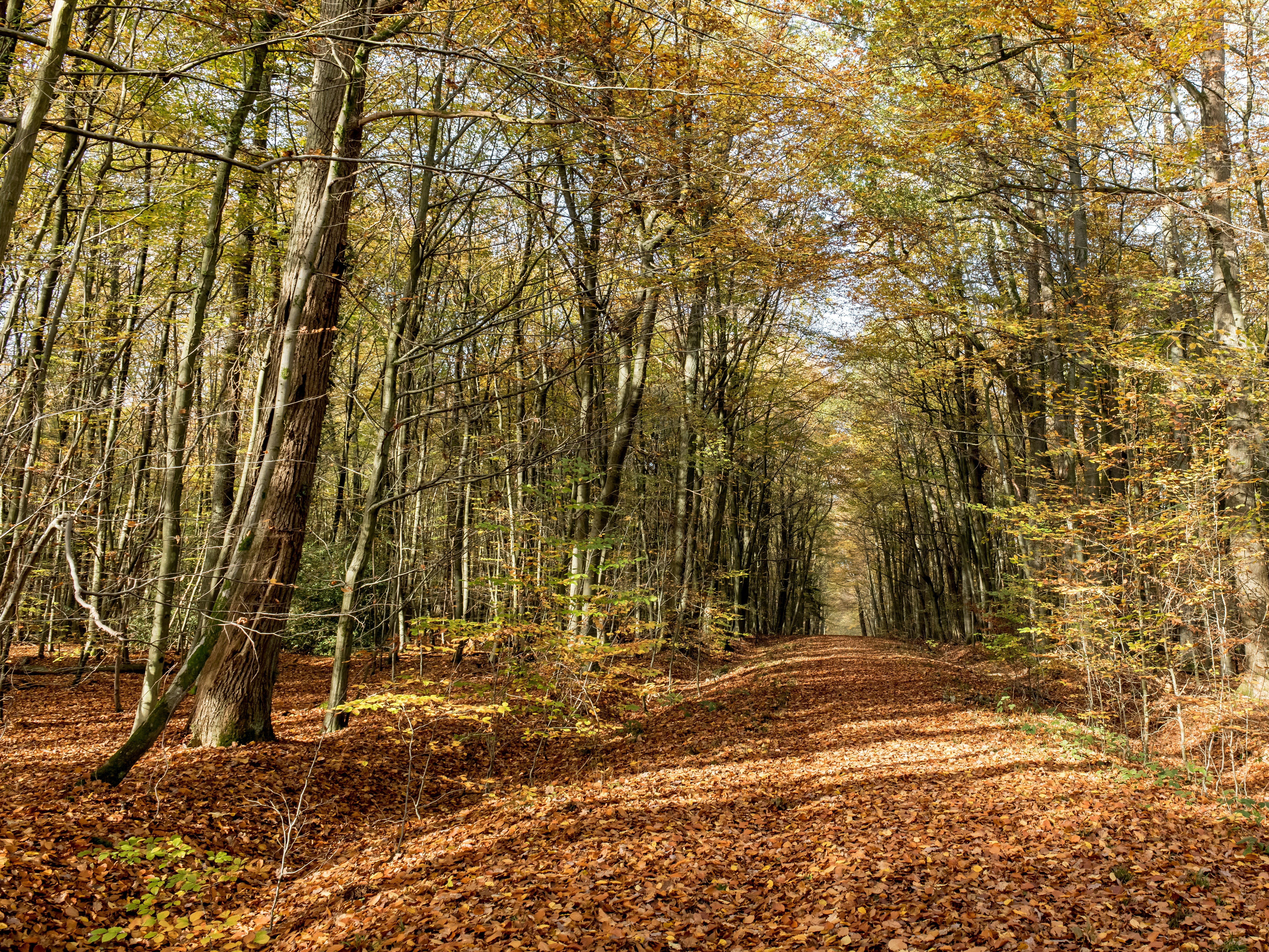 Photo by hamburgmeinefreundin