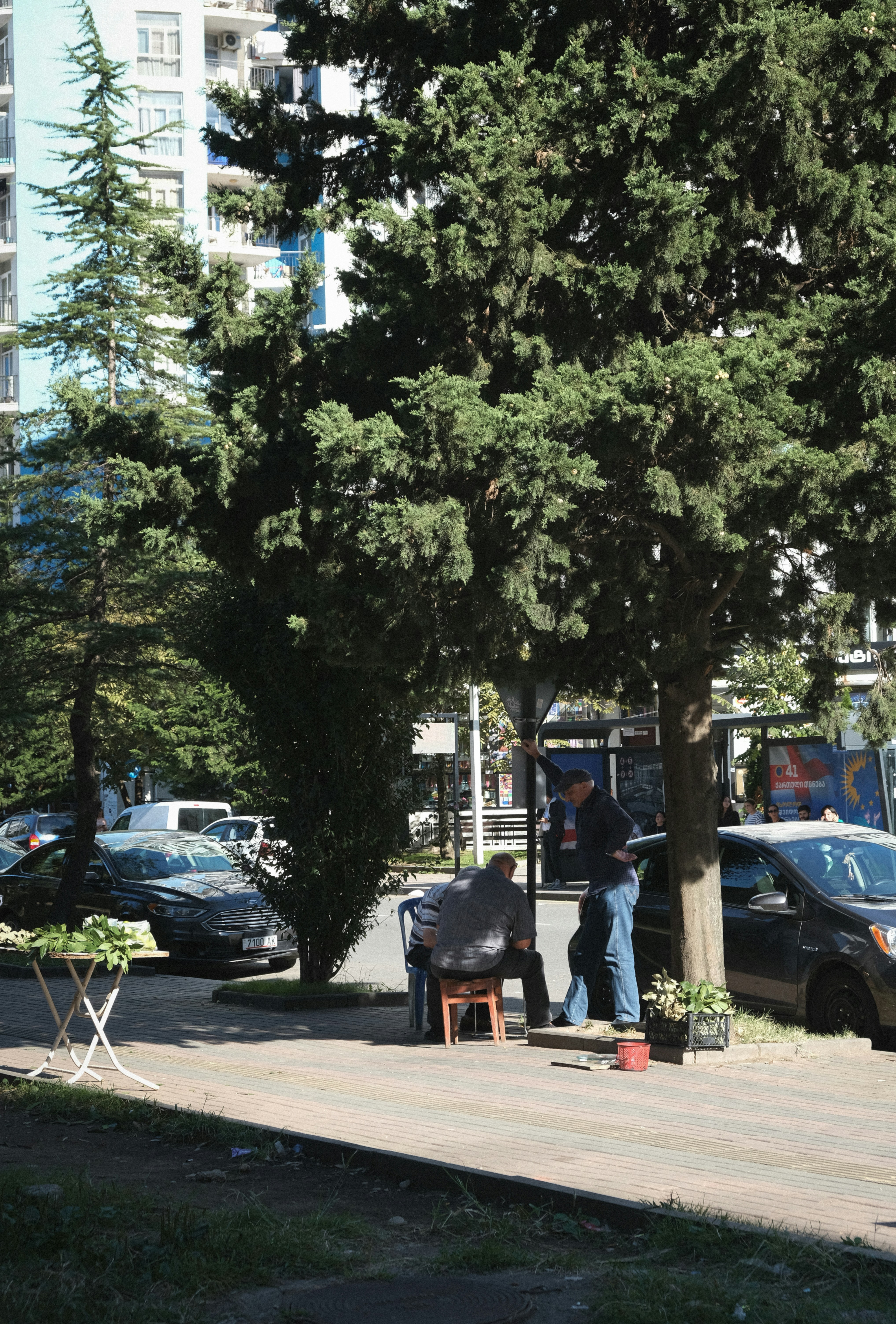 The Black Sea Table: Eating and Drinking in Batumi