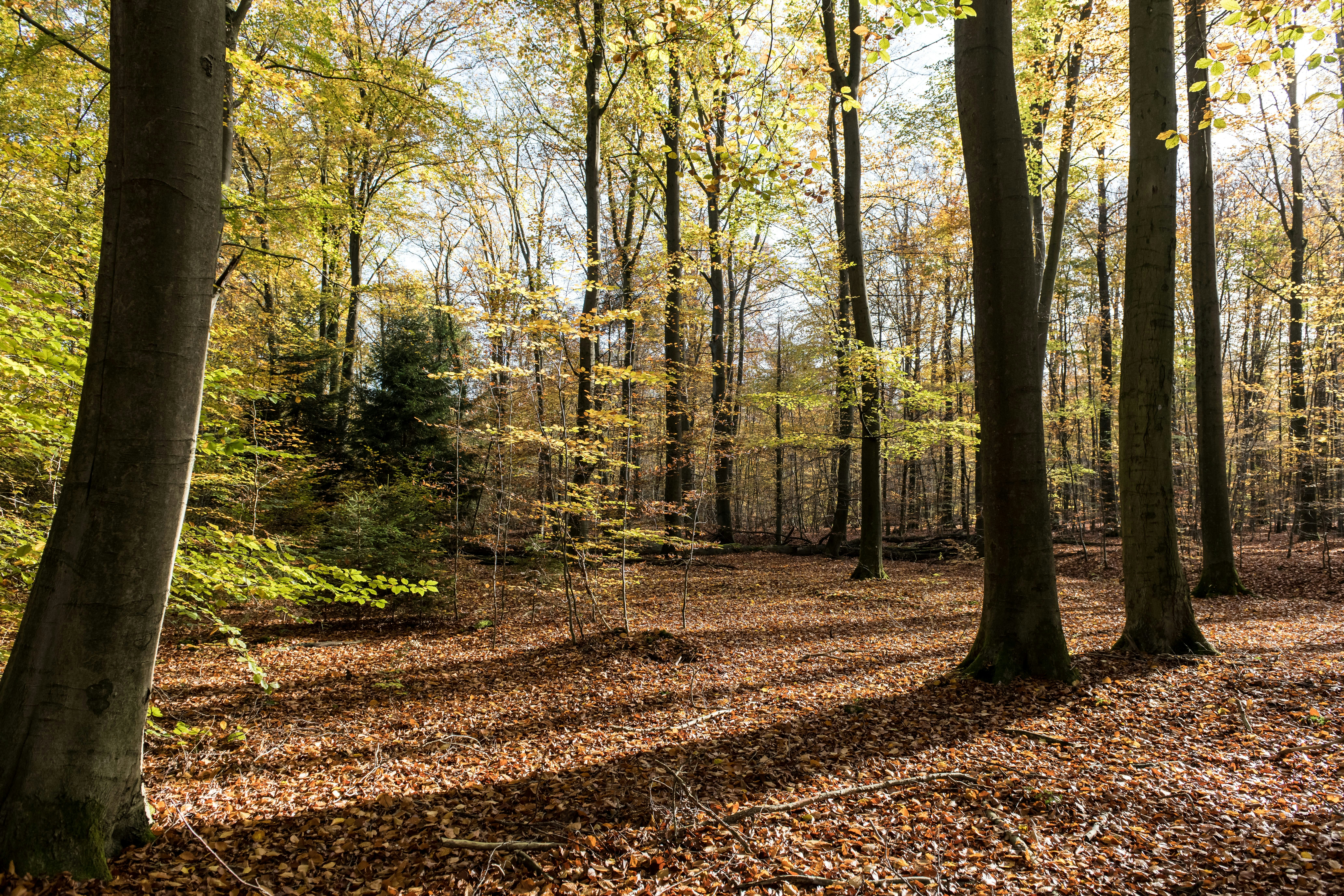 Photo by hamburgmeinefreundin