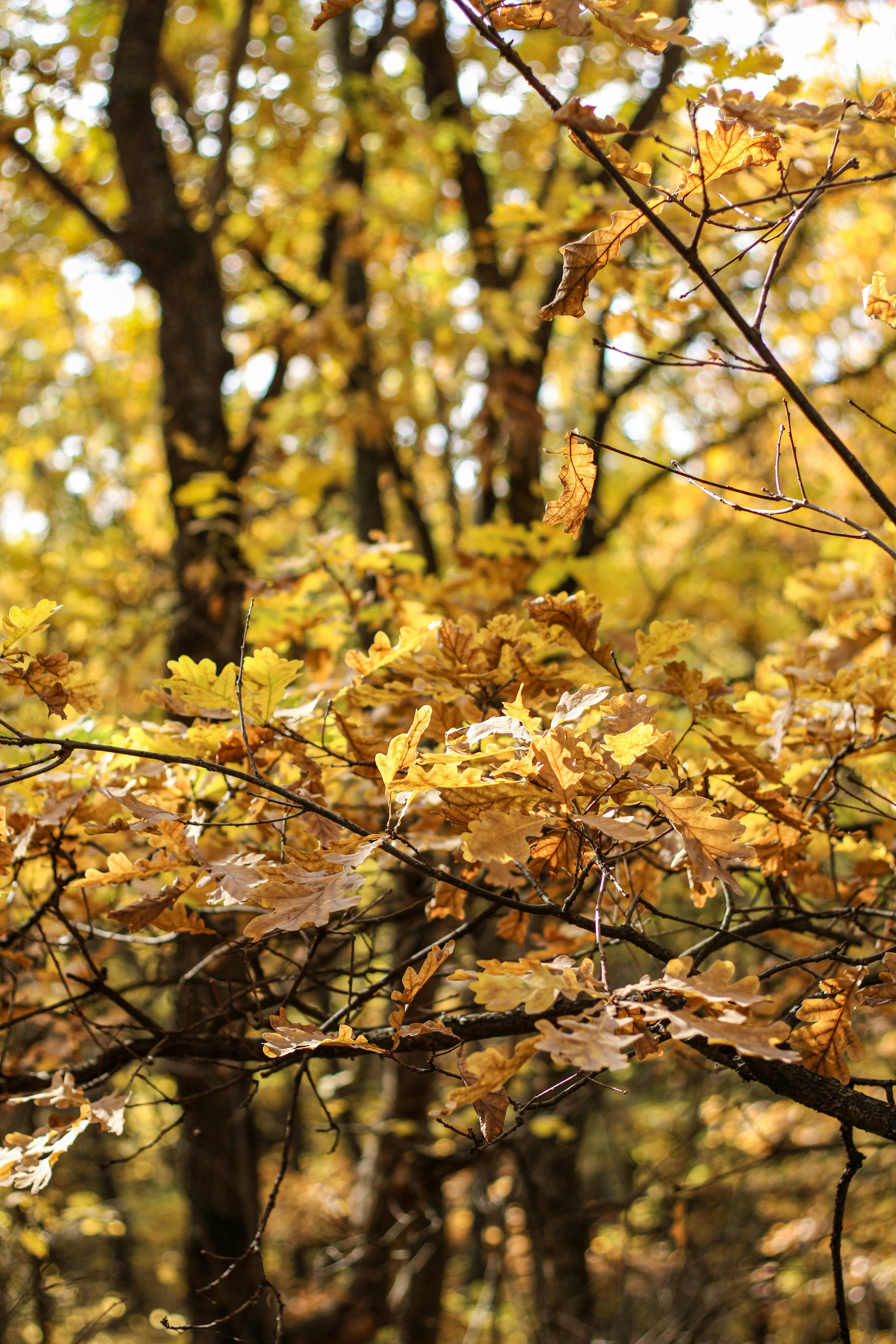 Photo by that_one_ukrainian