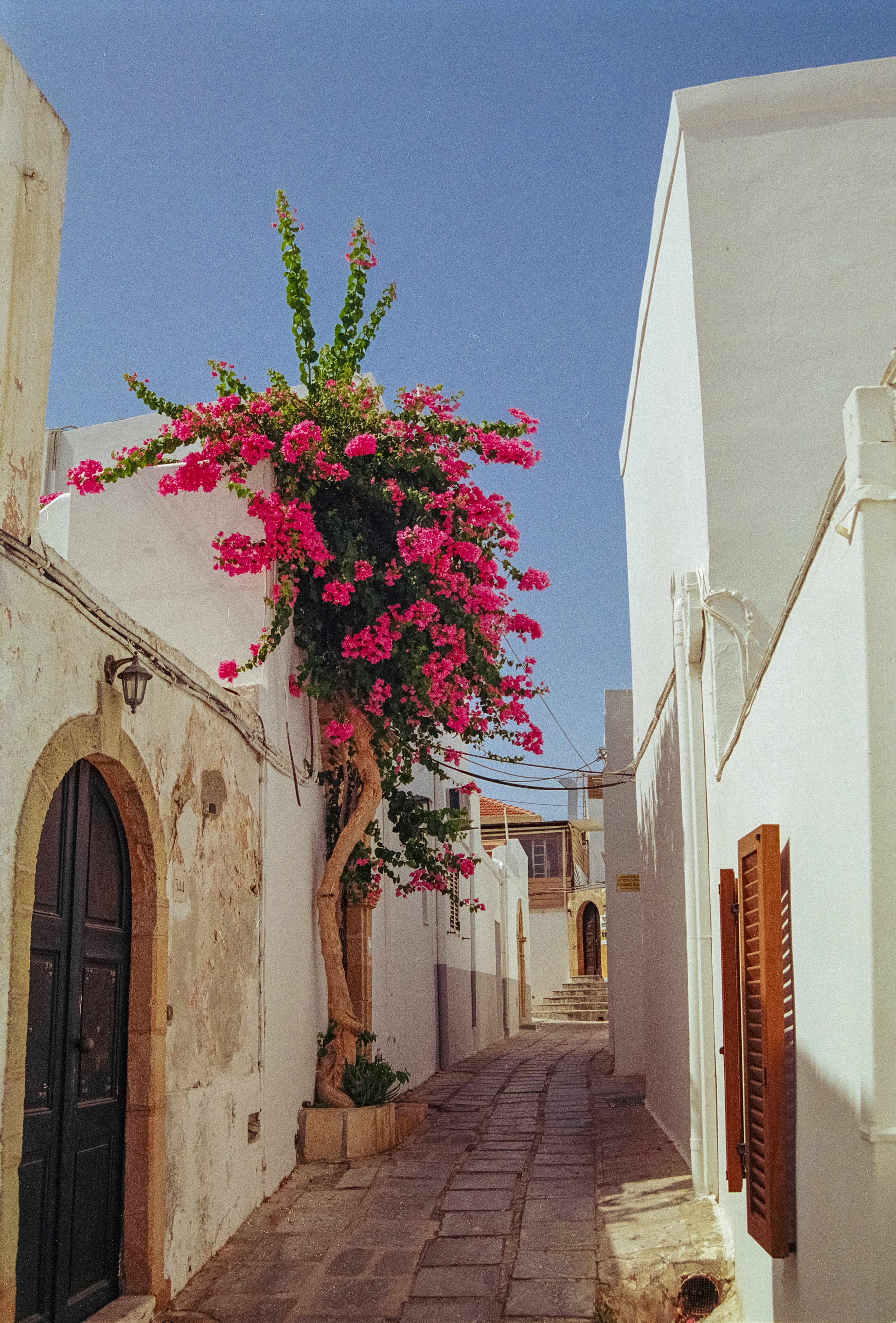 Photo by artistseyes