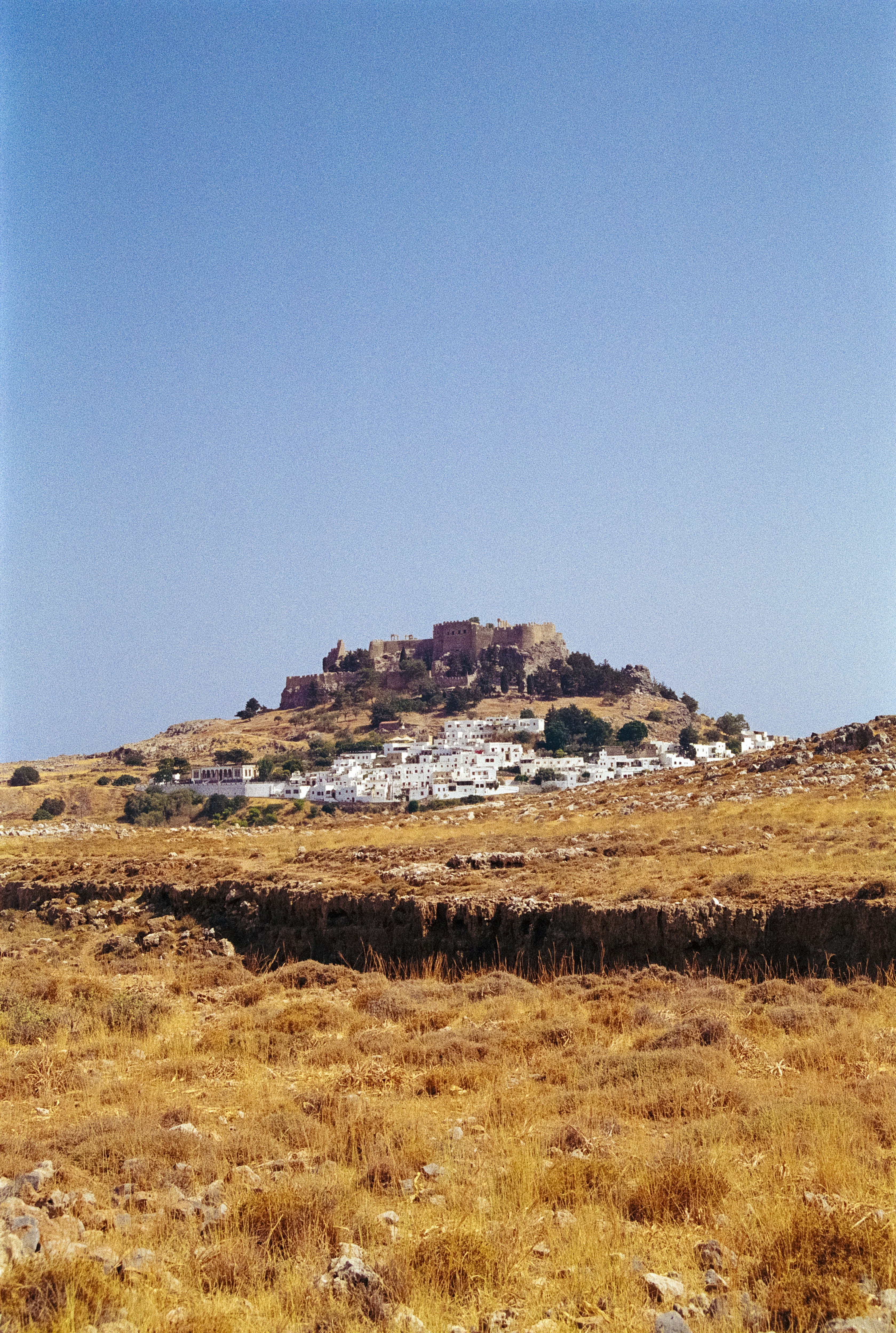 A field with a hill in the background