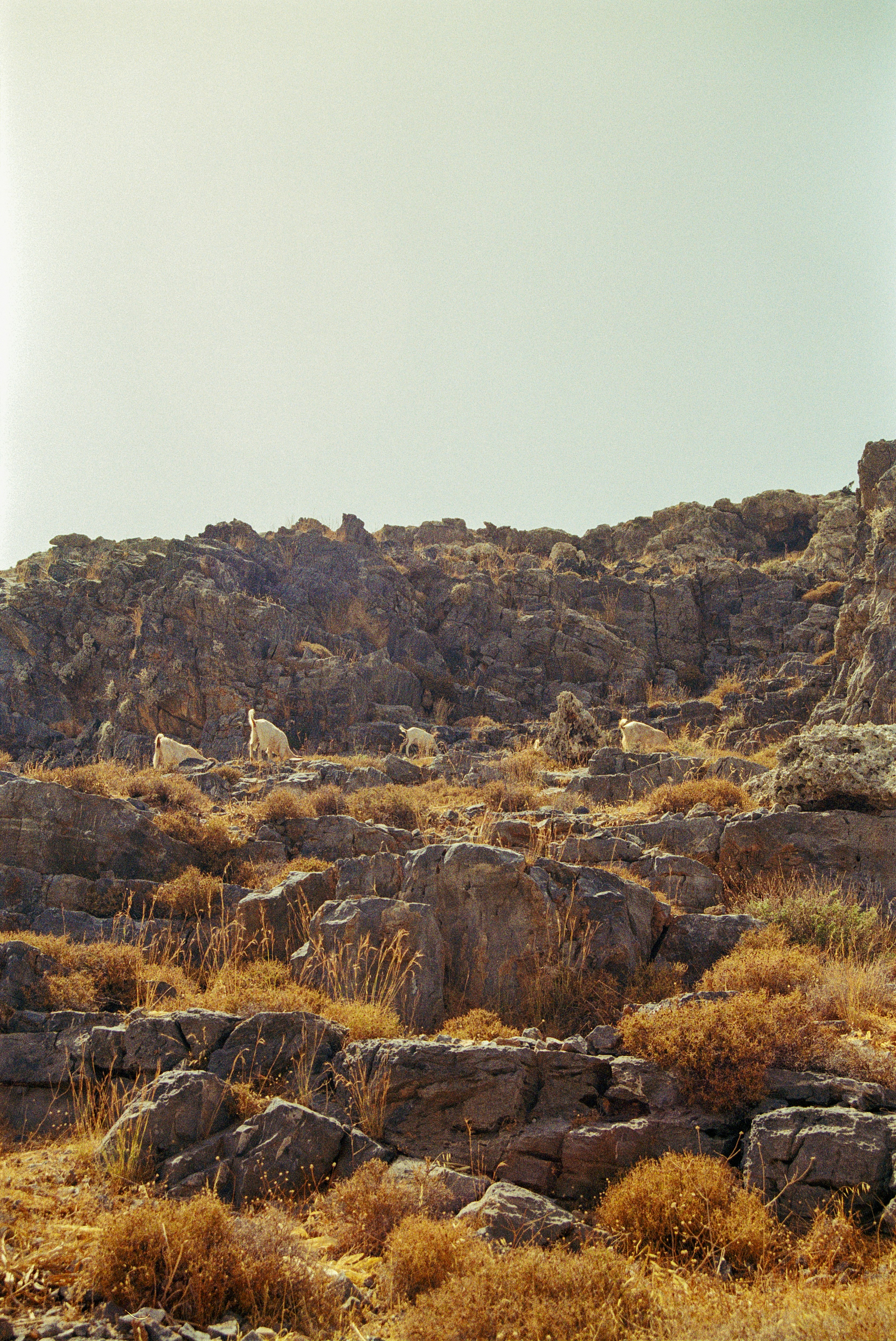 Photo by artistseyes