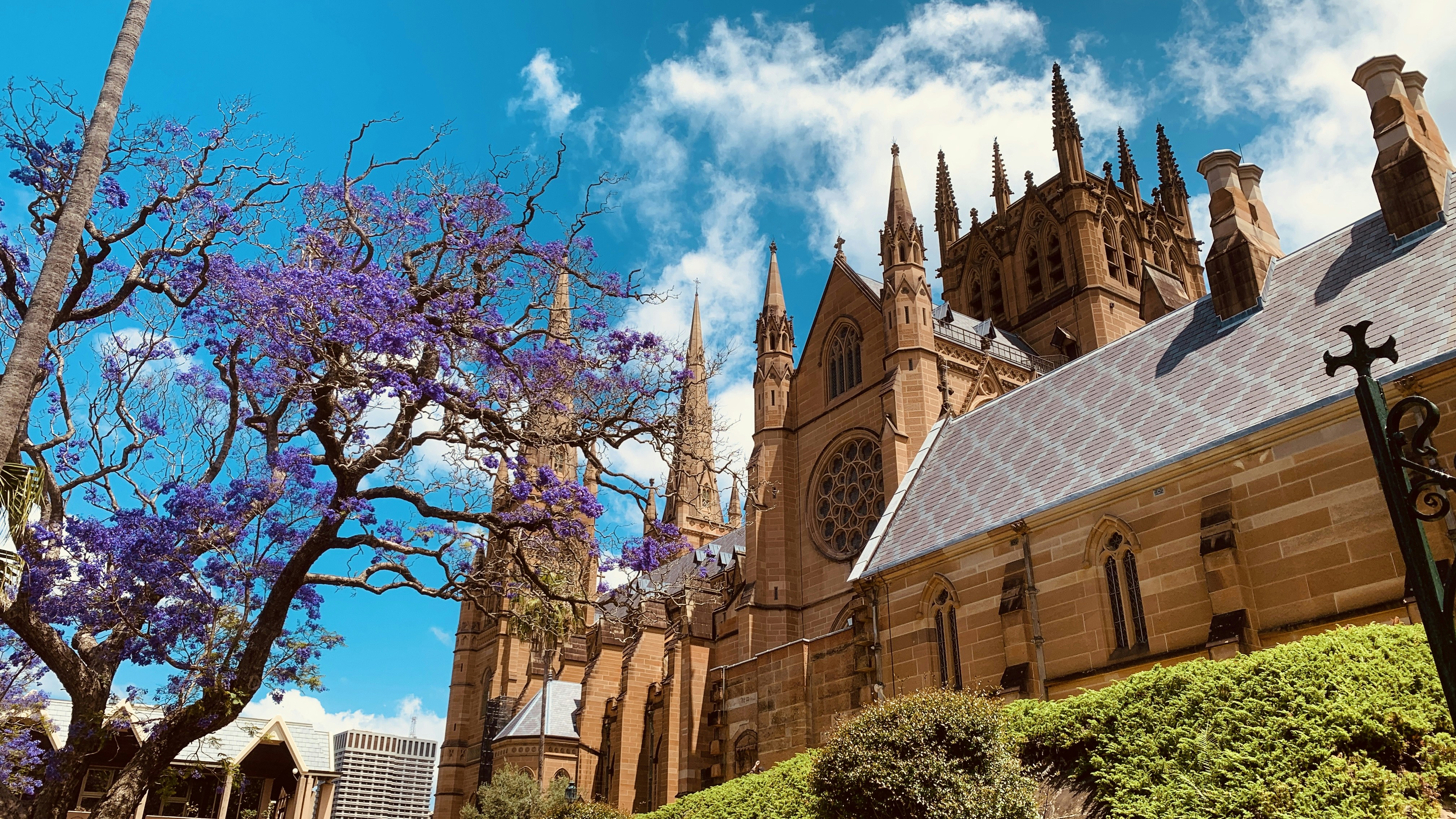 Photo by sandeepsapkota