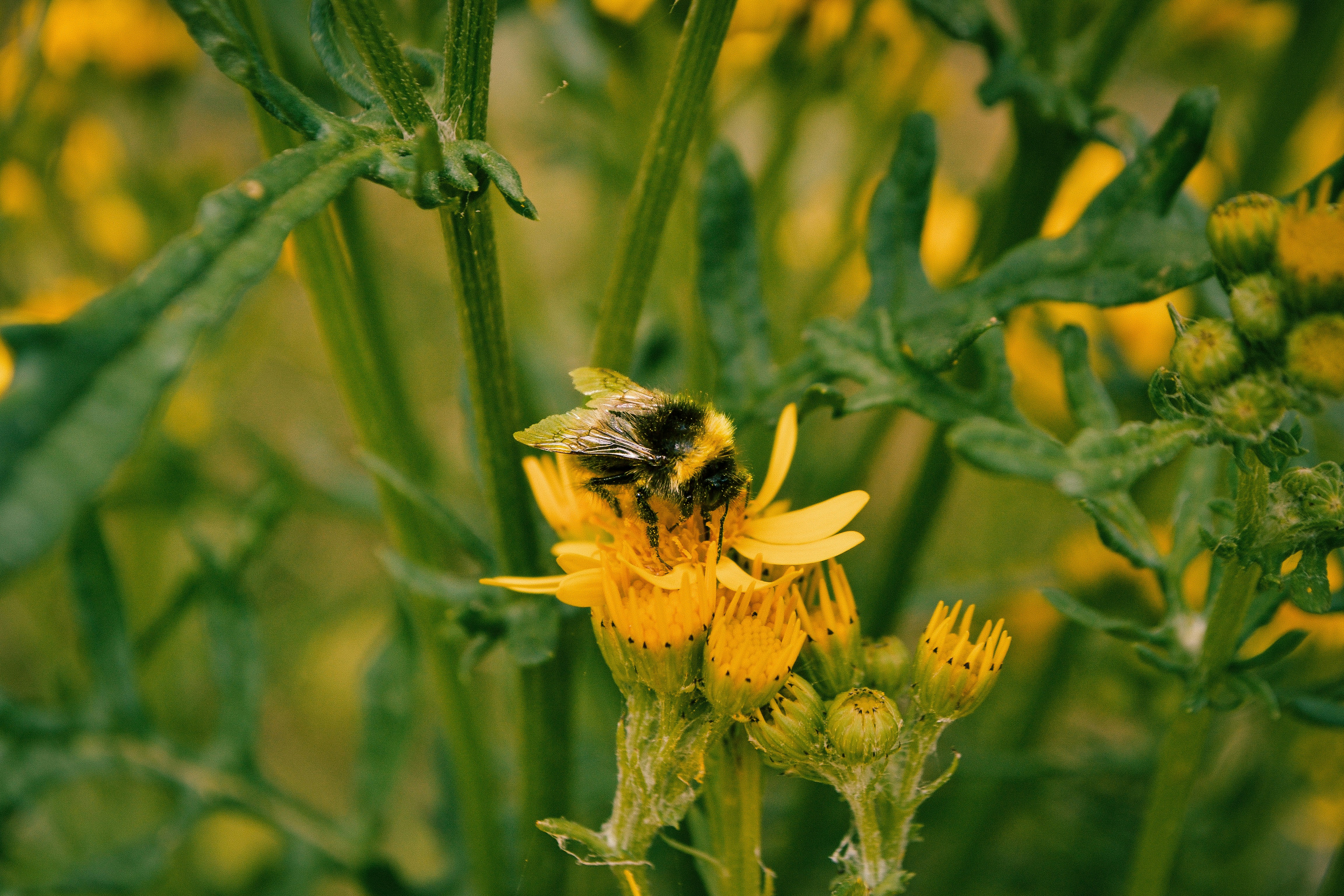 Photo by kaviz_photographic