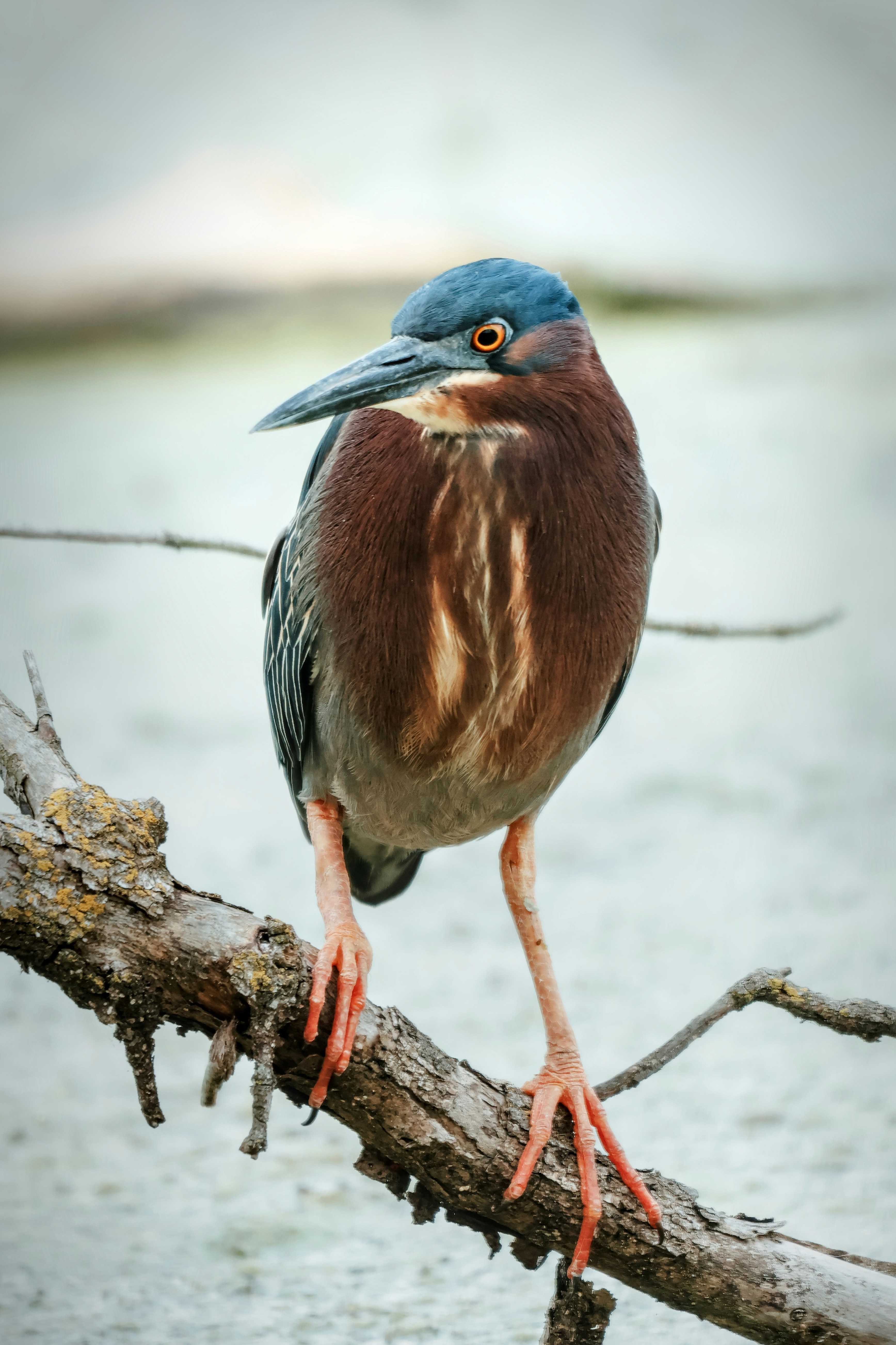 Photo by naturelensephotographer