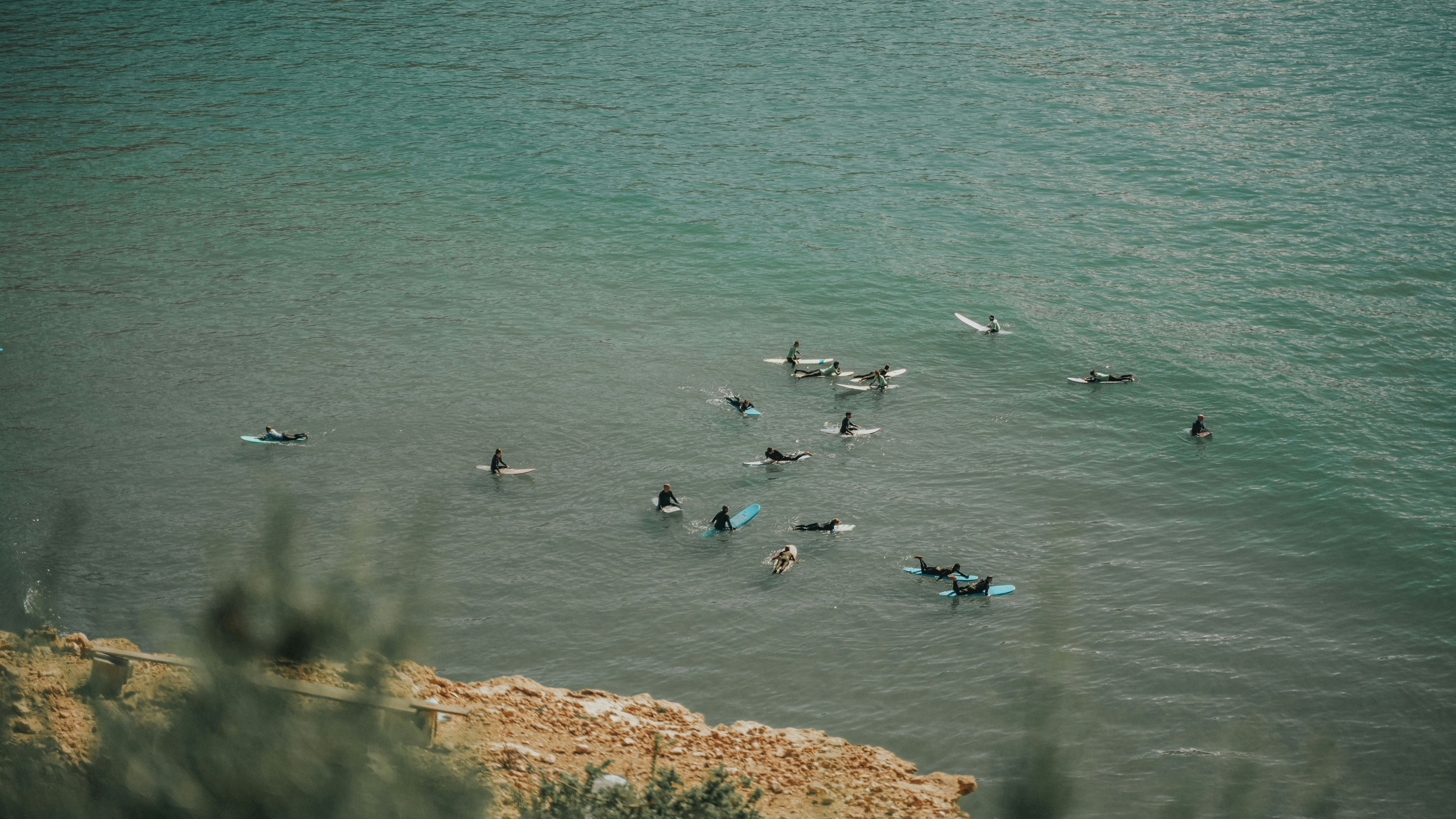Une volée d’oiseaux flottant au-dessus d’un plan d’eau