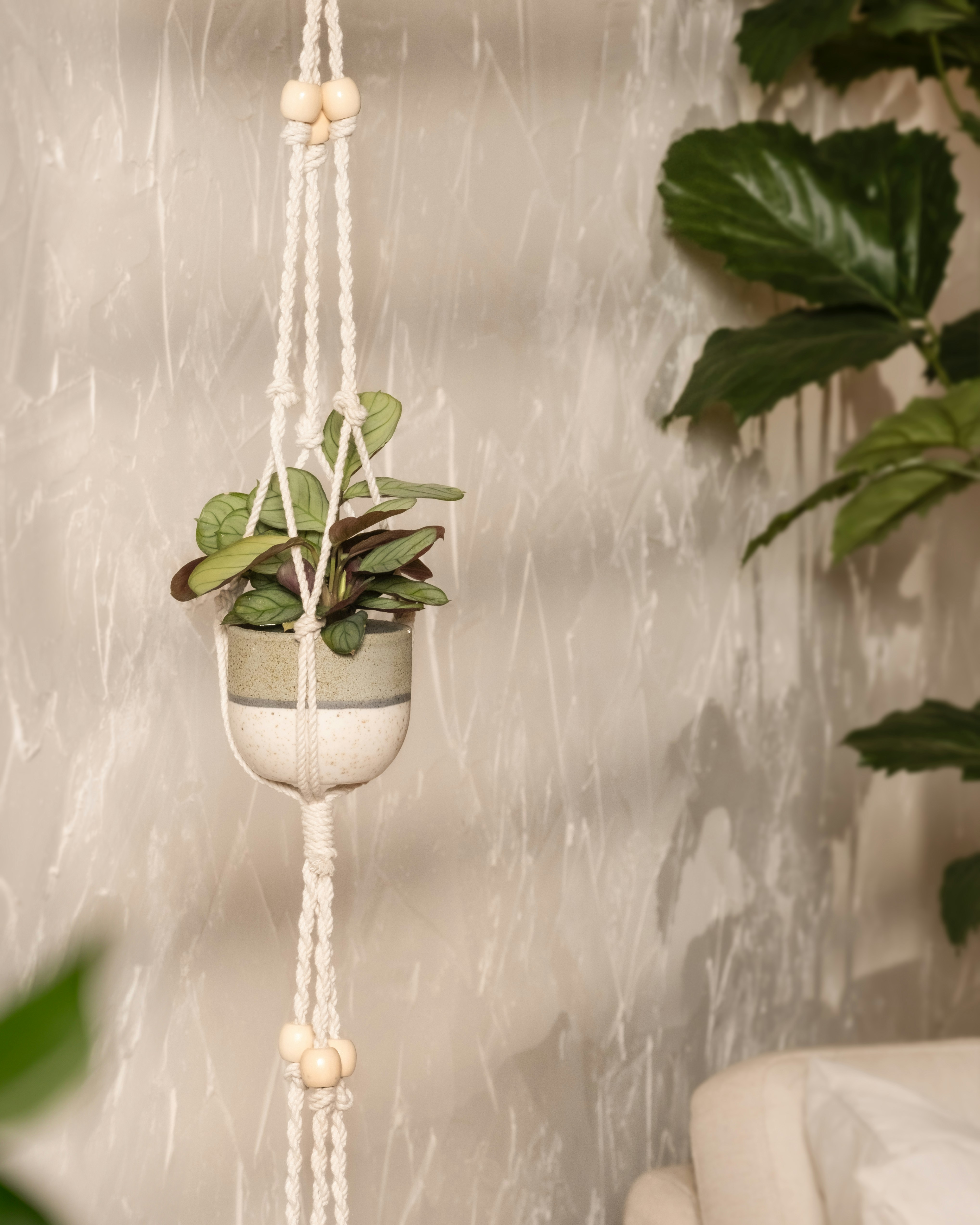 Photo by feeypflanzen