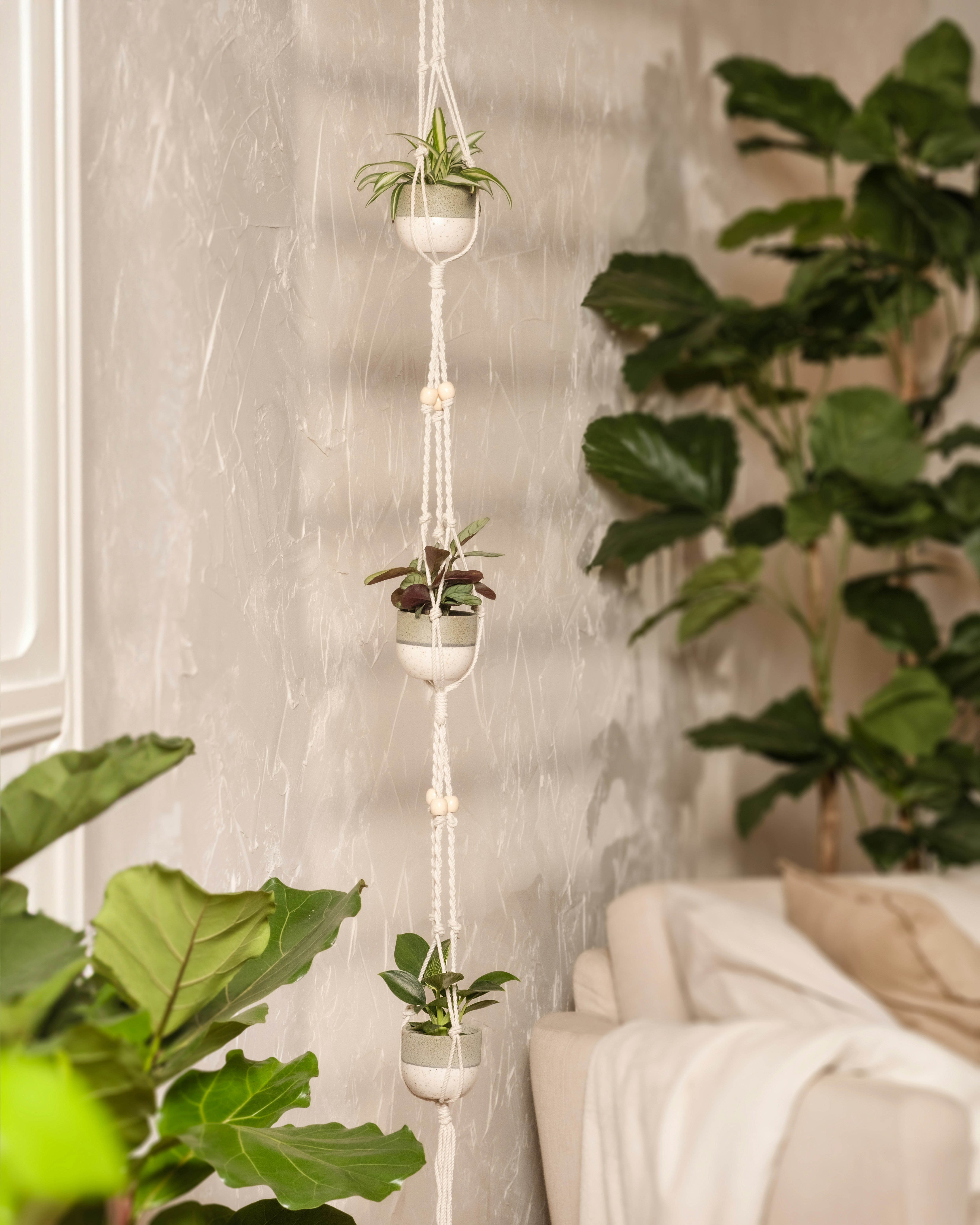 Photo by feeypflanzen