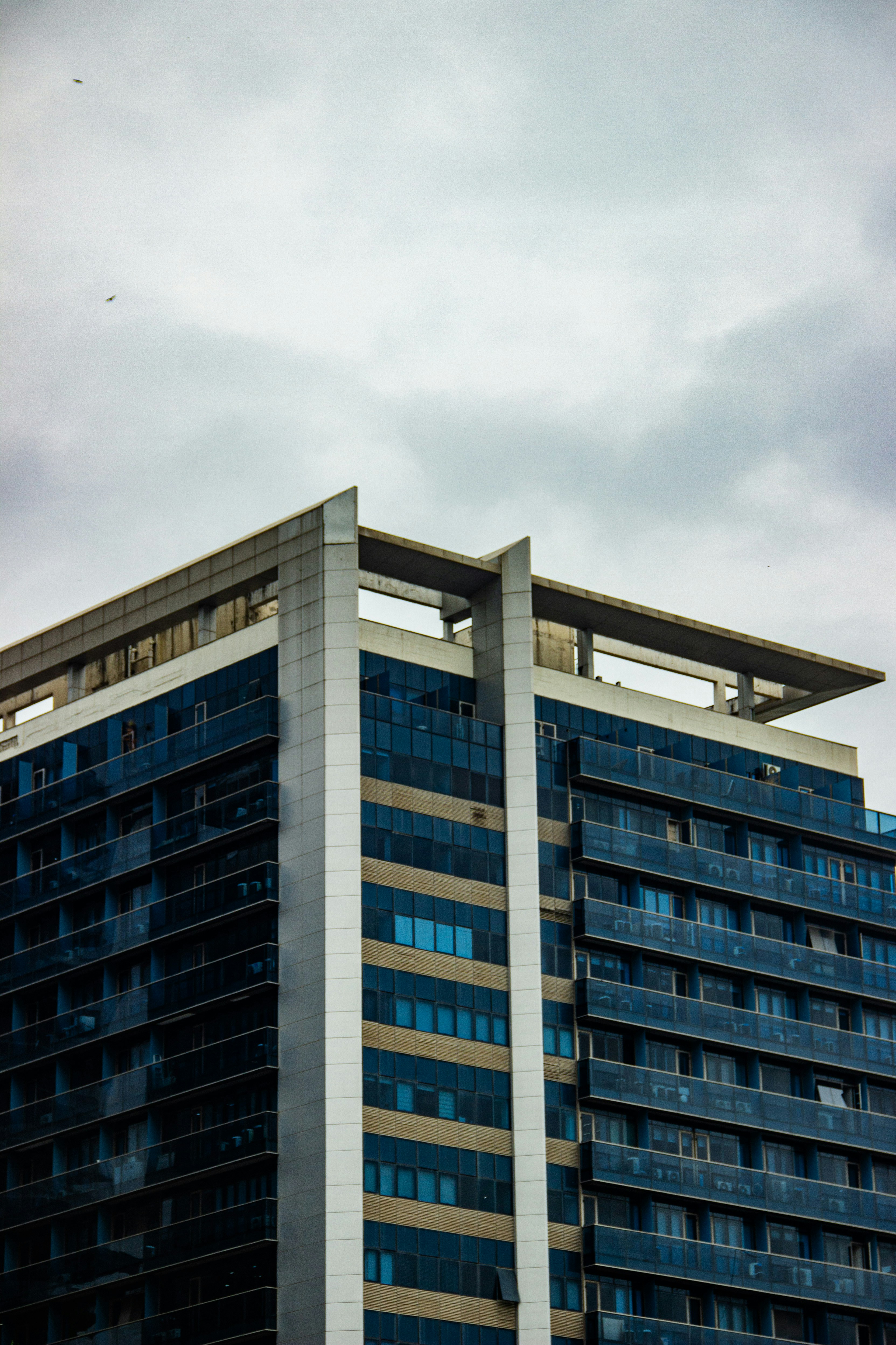 Photo by yohfernads01