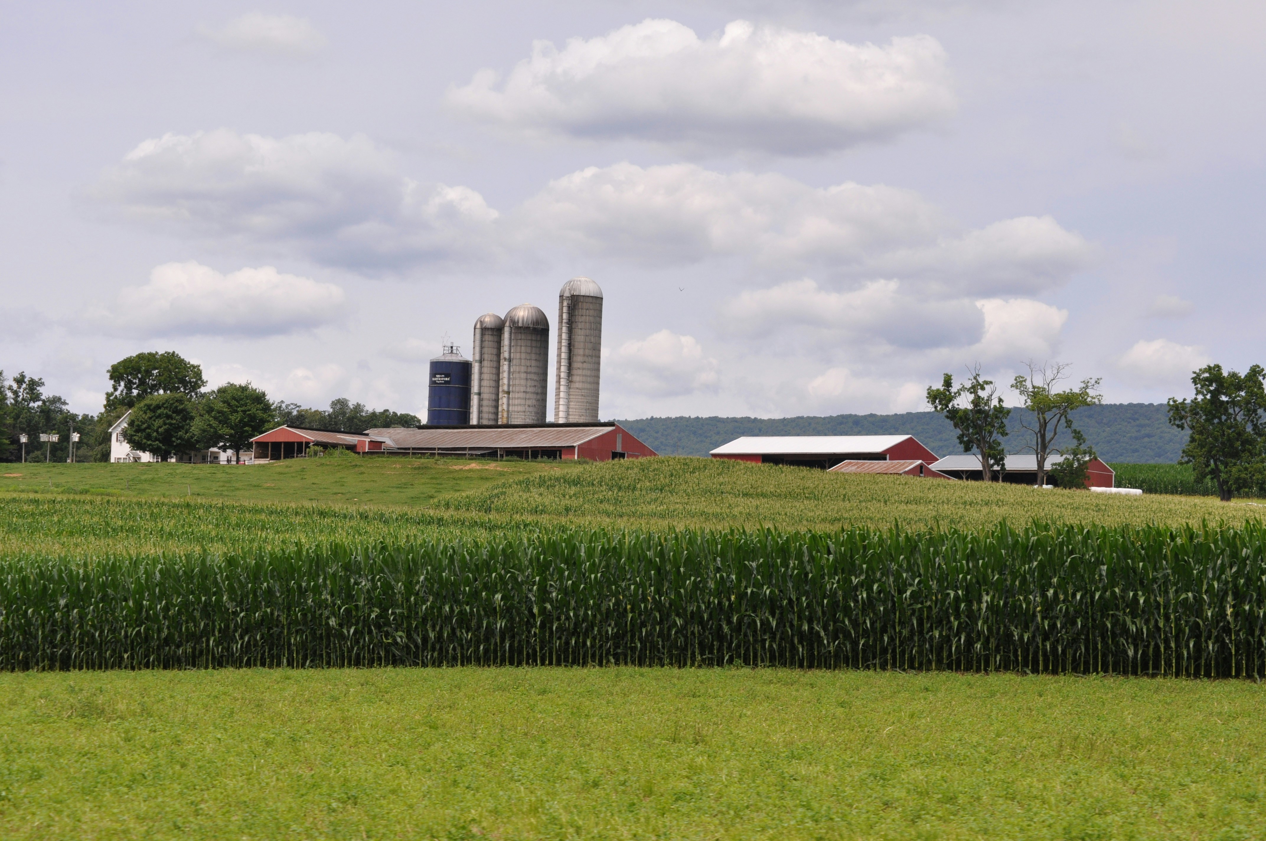 Photo by rebeccaobern